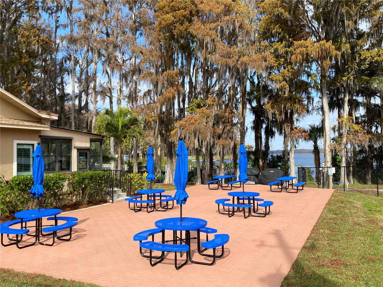 3400 Rugby Court Palm Harbor FL 34684 - LAKE TARPON TB8484795 image59