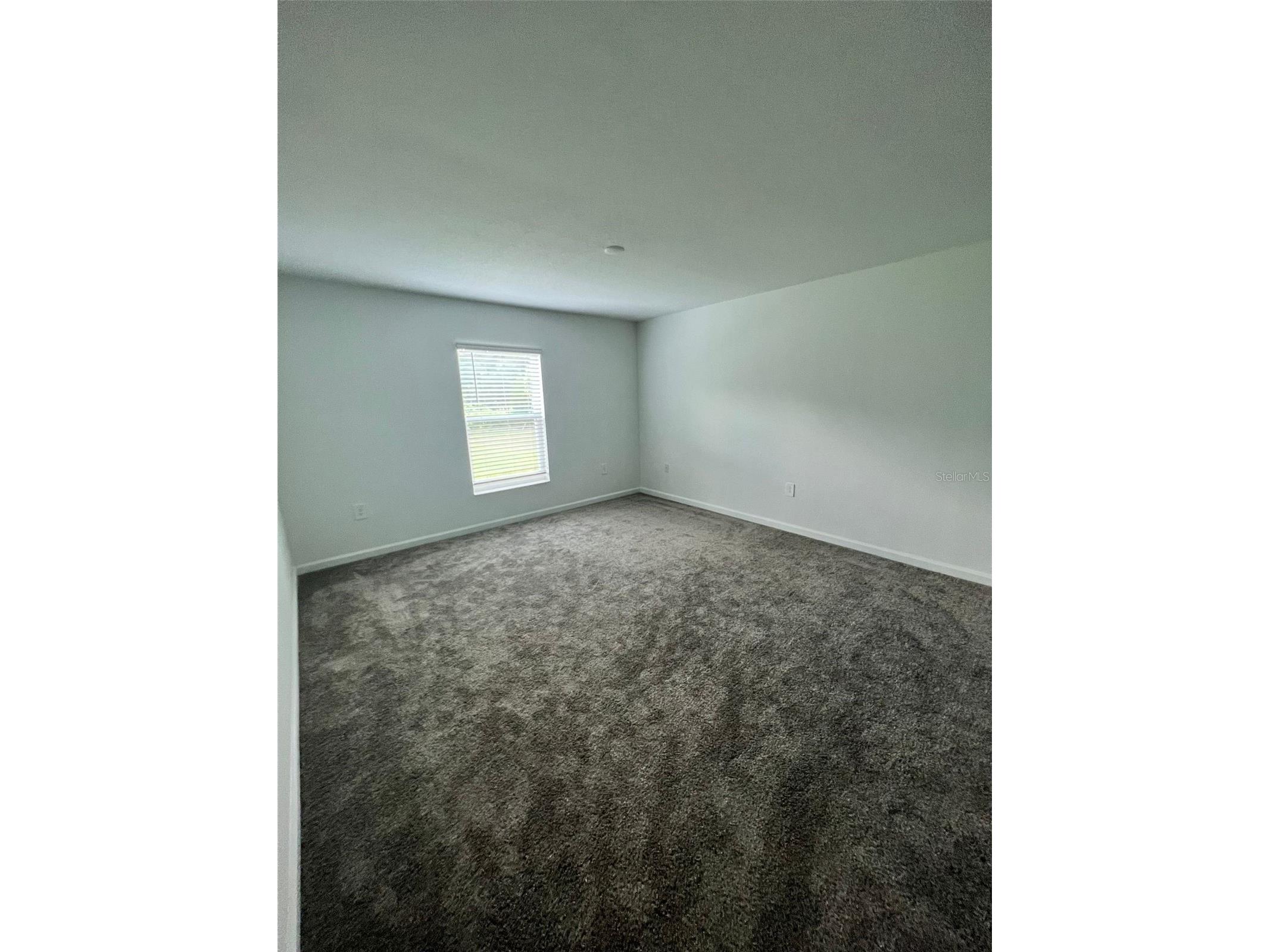 34000 Sky Blossom Circle Leesburg FL 34788 TB8498554 image8