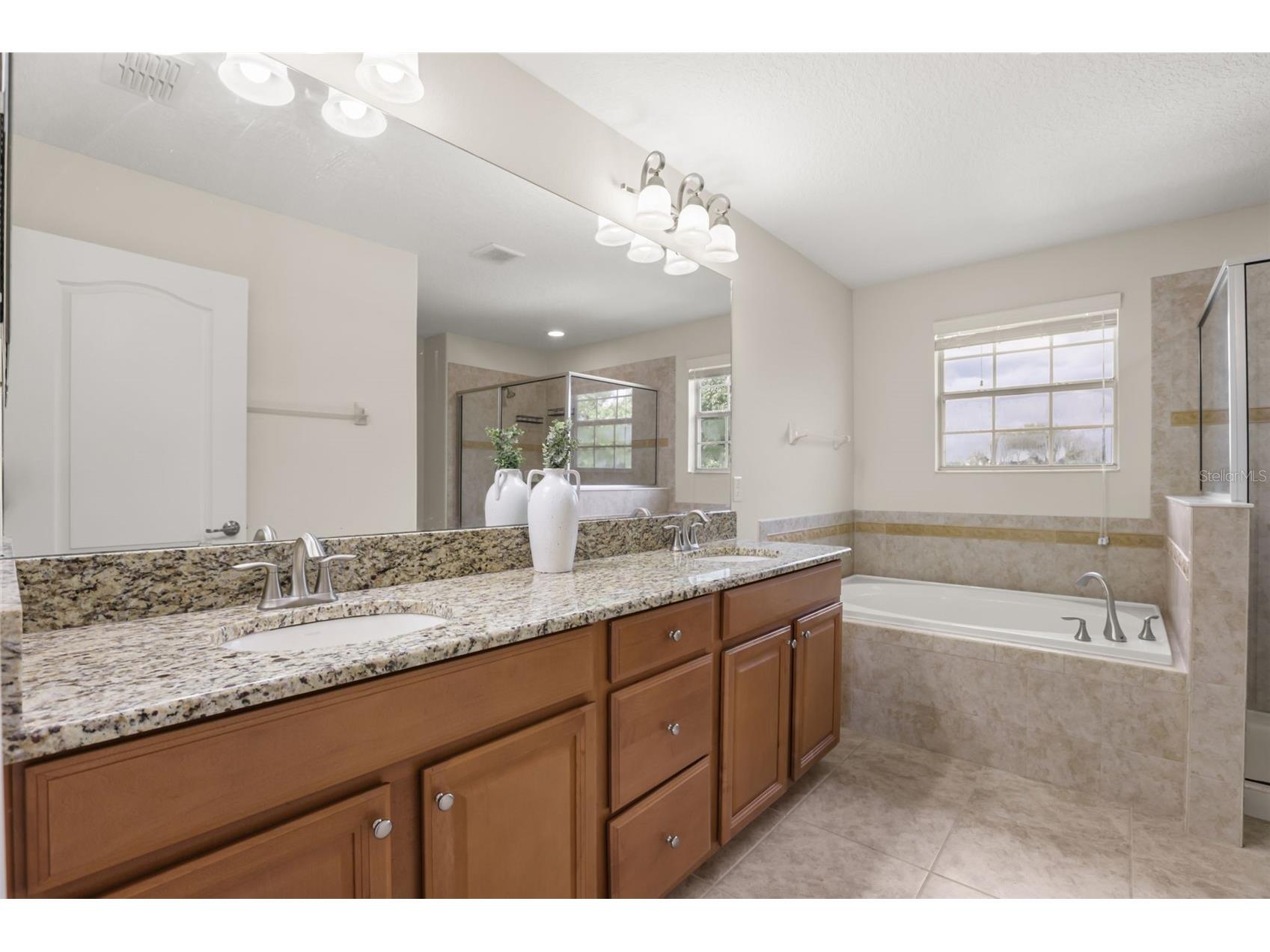 34004 Alameda Drive Sorrento FL 32776 O6411625 image24