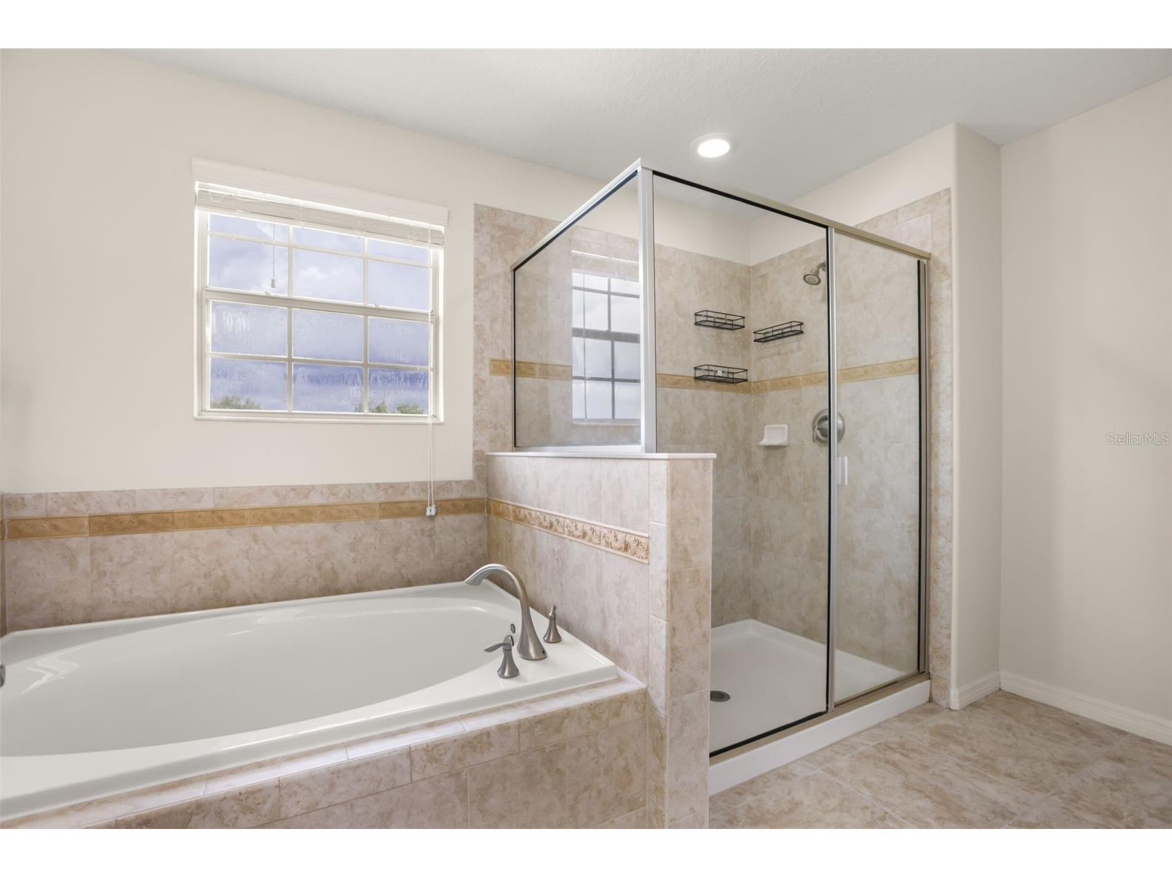34004 Alameda Drive Sorrento FL 32776 O6411625 image25