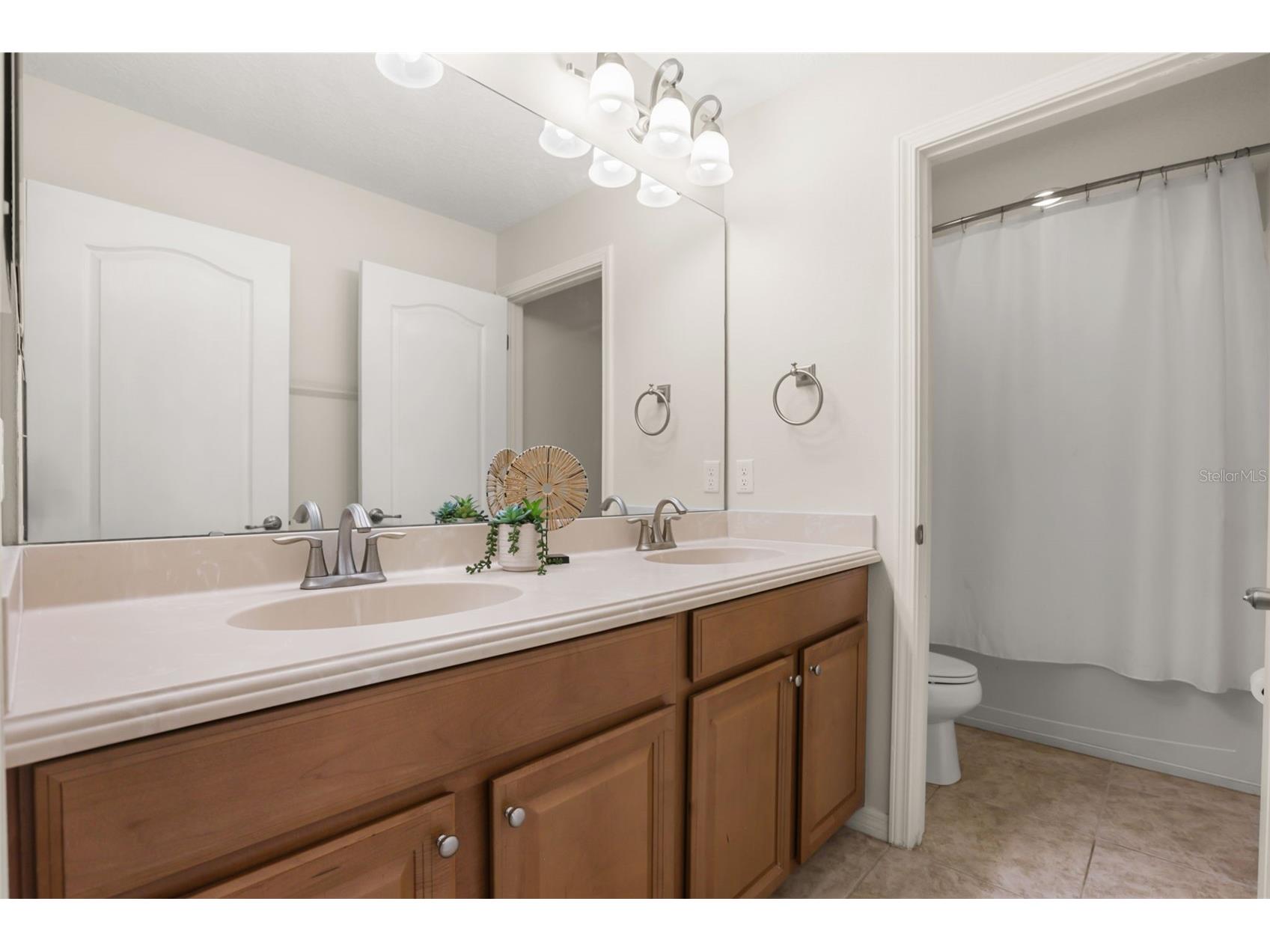 34004 Alameda Drive Sorrento FL 32776 O6411625 image30