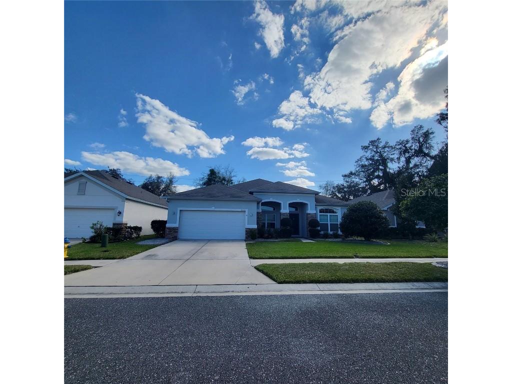 34006 Laughing Oak Drive Wesley Chapel FL 33545 T3428845 image1