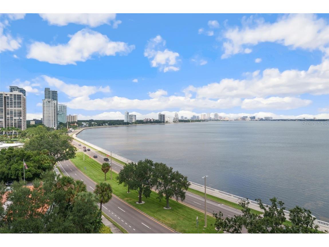 3401 Bayshore Boulevard #701 Tampa FL 33629 - HILLSBOROUGH TB8431159 image16