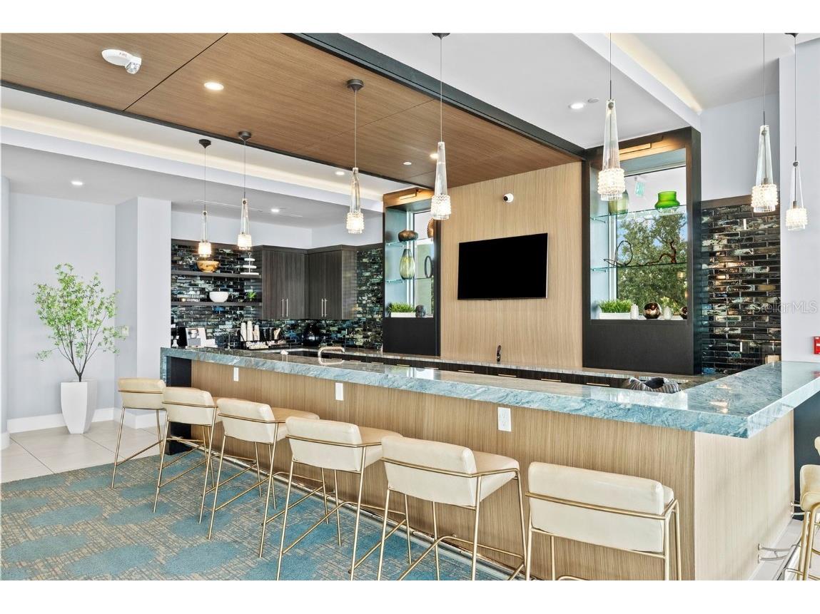 3401 Bayshore Boulevard #701 Tampa FL 33629 - HILLSBOROUGH TB8431159 image47