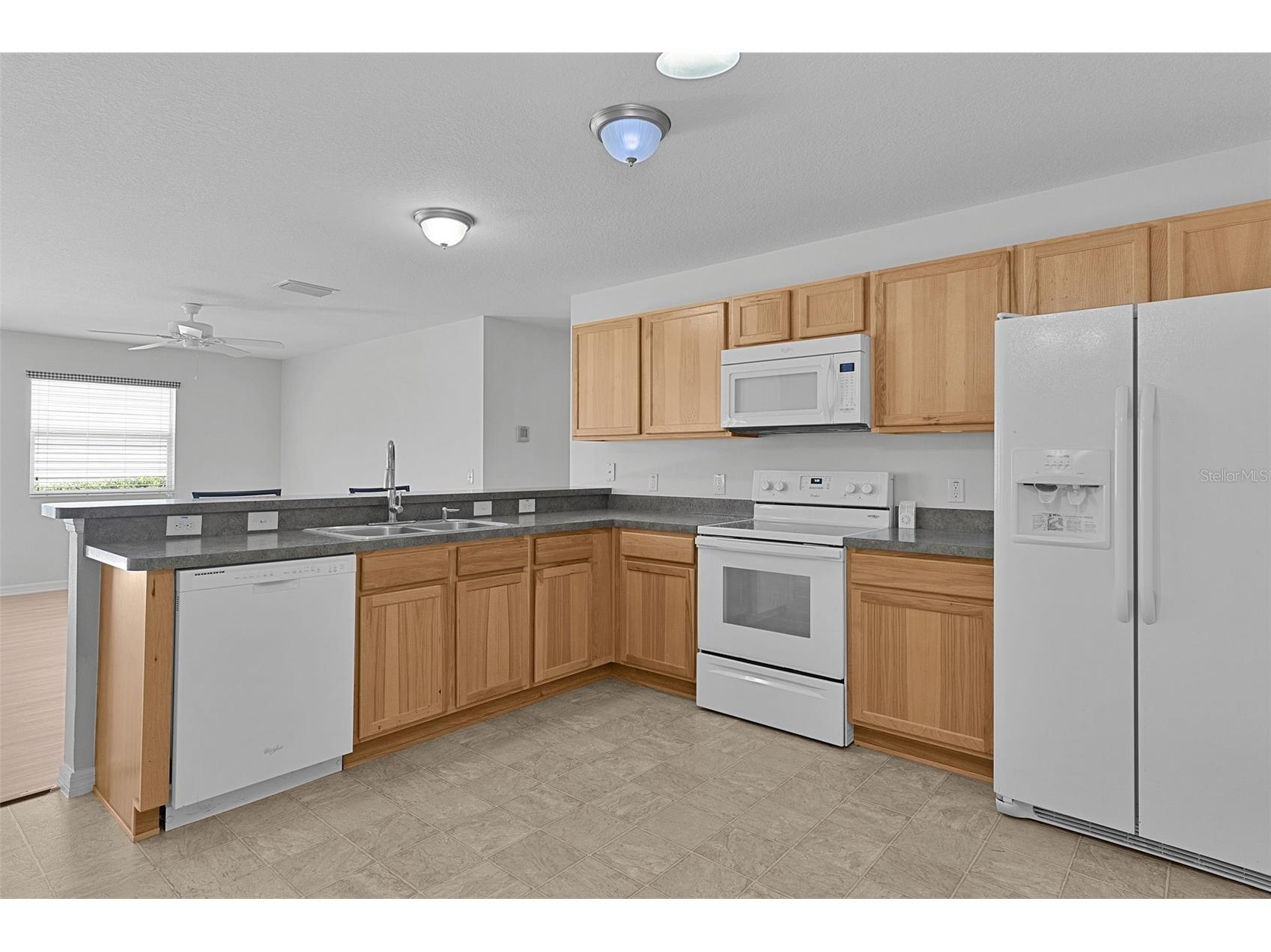 3401 Carrabelle Court The Villages FL 32163 G5111160 image23