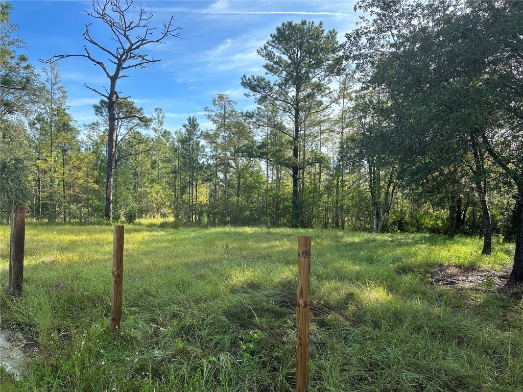 3401 Coronet Avenue Orlando FL 32833 O6144877 image1