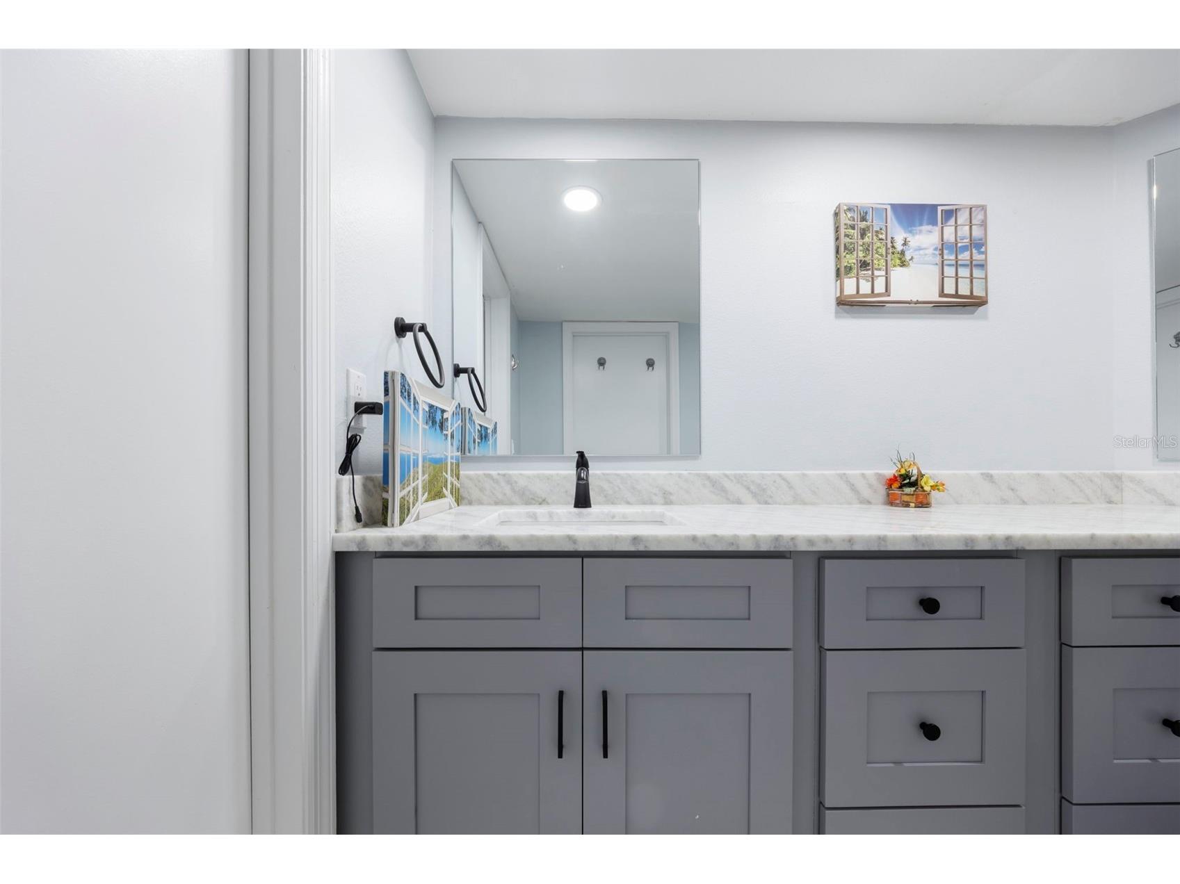 3401 Cypress Head Court Tampa FL 33618 TB8479684 image20