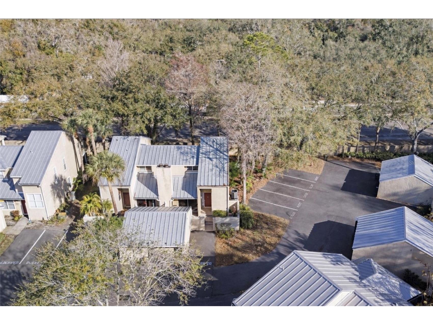 3401 Cypress Head Court Tampa FL 33618 TB8479684 image3