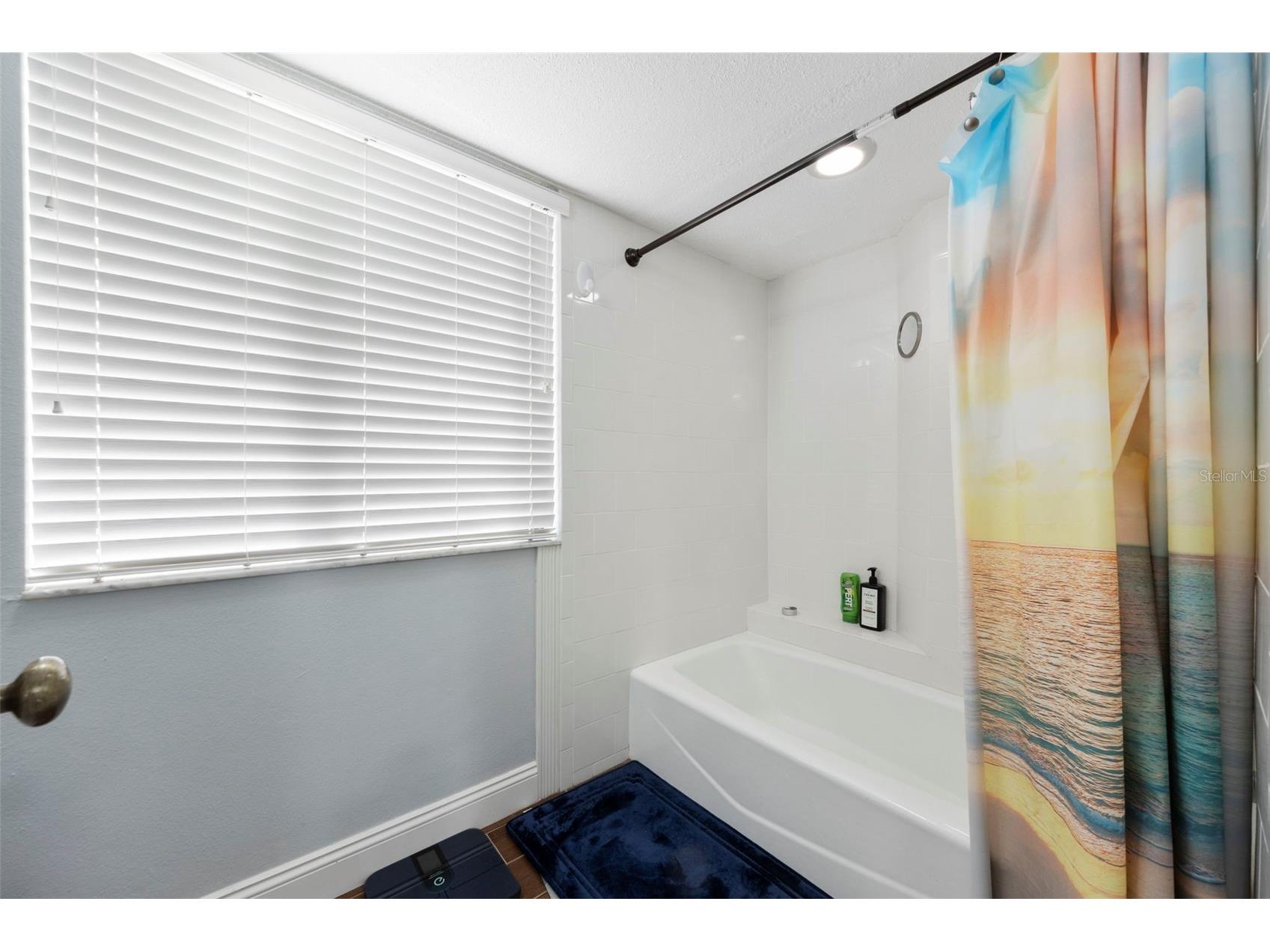 3401 Cypress Head Court Tampa FL 33618 TB8479684 image34