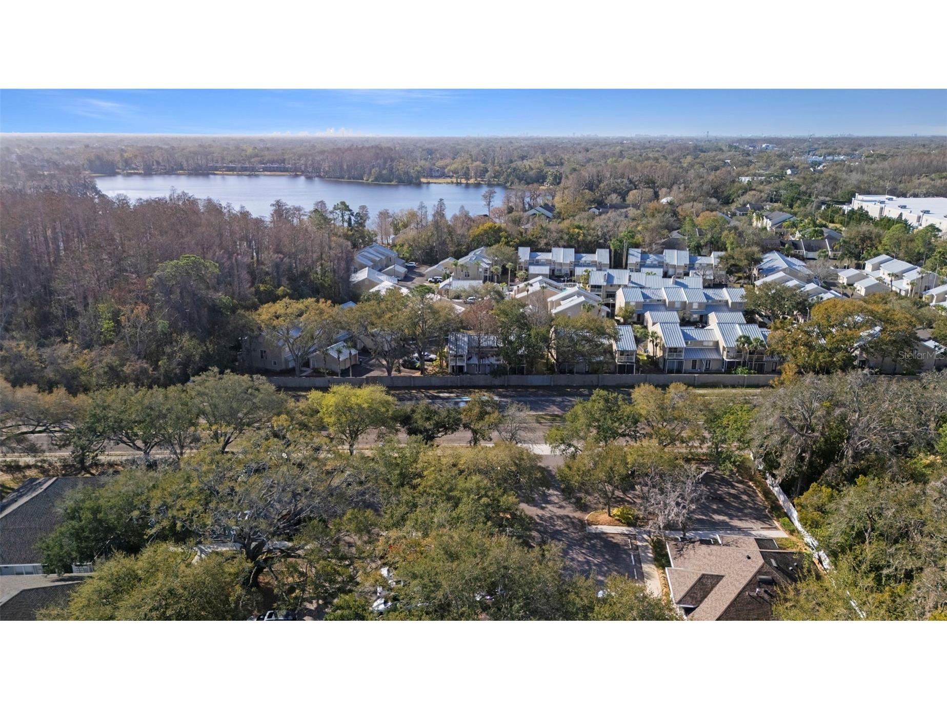 3401 Cypress Head Court Tampa FL 33618 TB8479684 image42