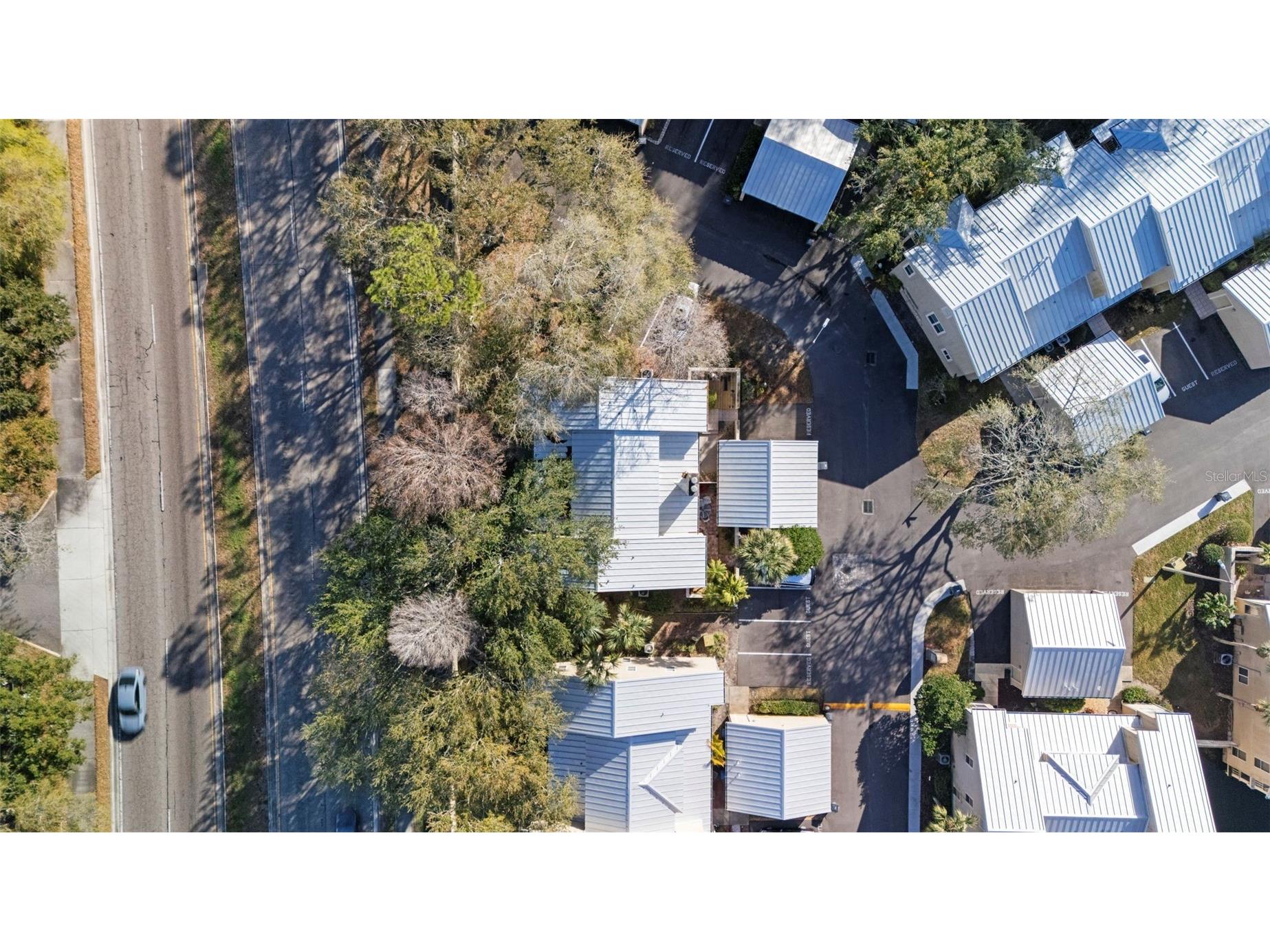 3401 Cypress Head Court Tampa FL 33618 TB8479684 image49