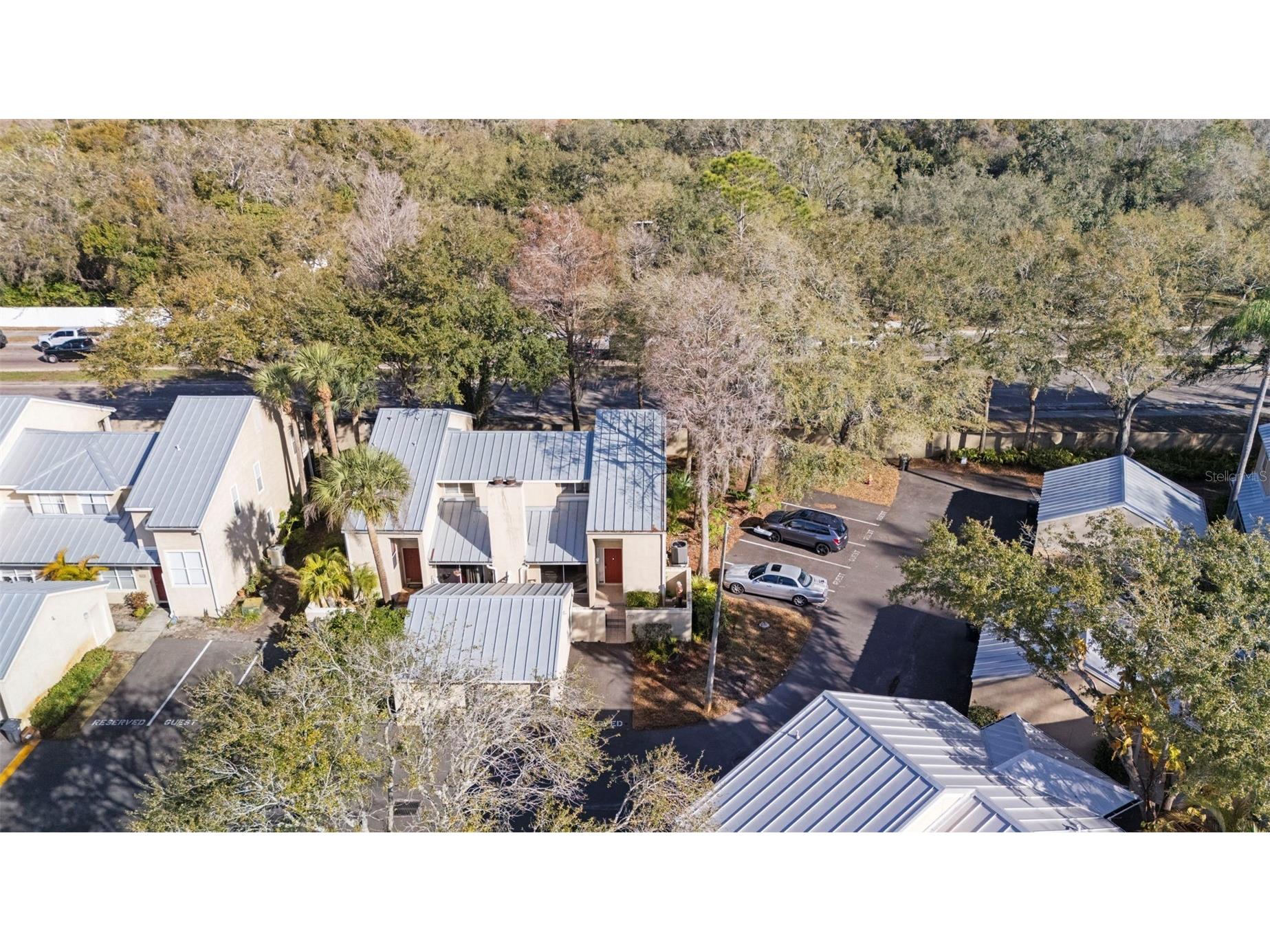 3401 Cypress Head Court Tampa FL 33618 TB8479684 image51