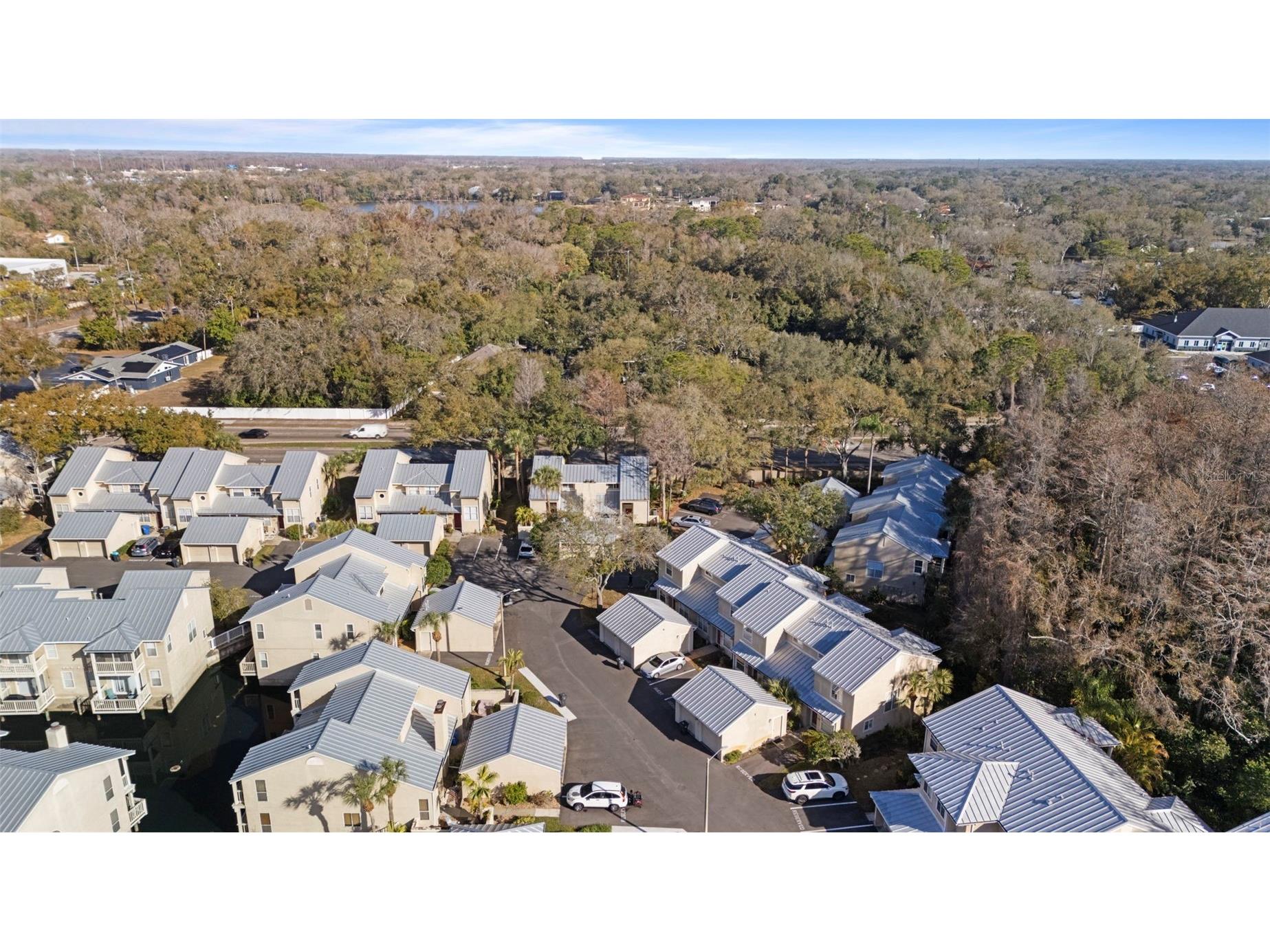 3401 Cypress Head Court Tampa FL 33618 TB8479684 image52