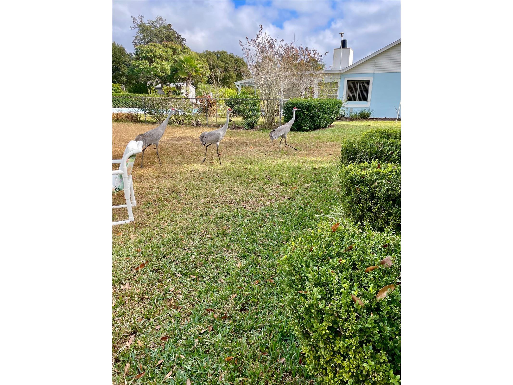 3401 Divot Road Sebring FL 33872 L4957116 image18