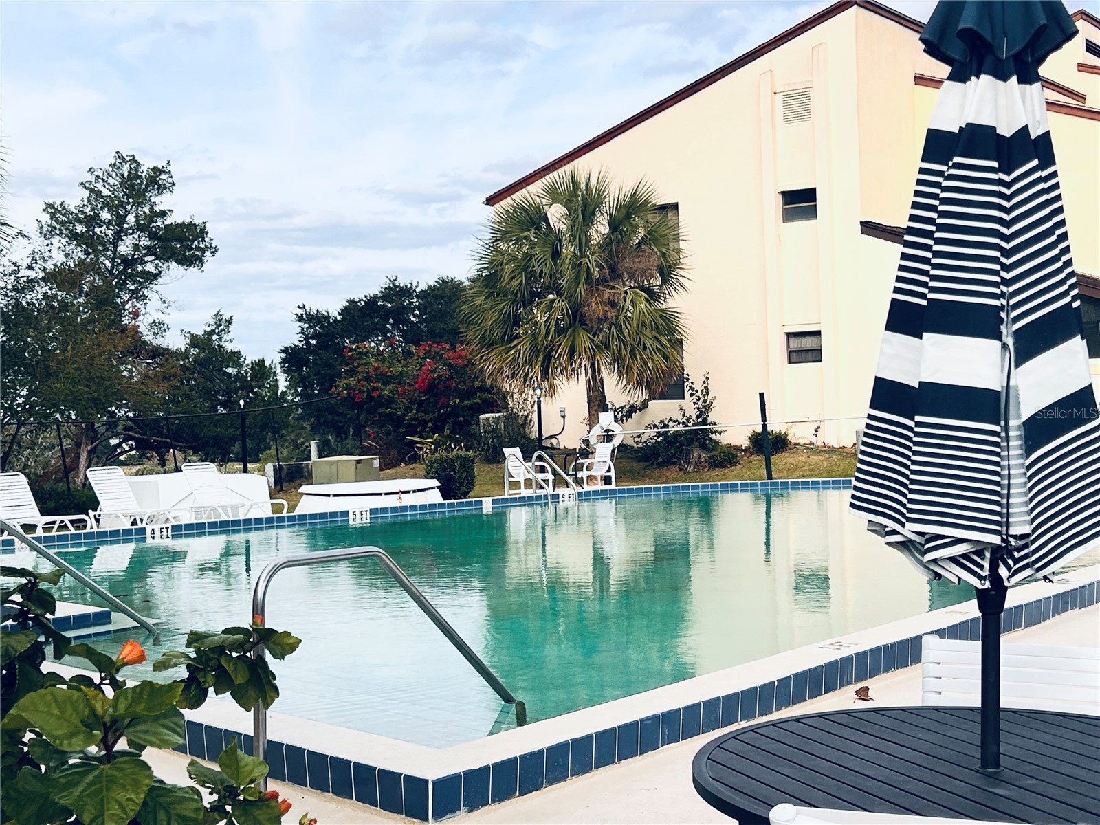3401 E Fort King Street #202 Ocala FL 34470 OM725719 image24
