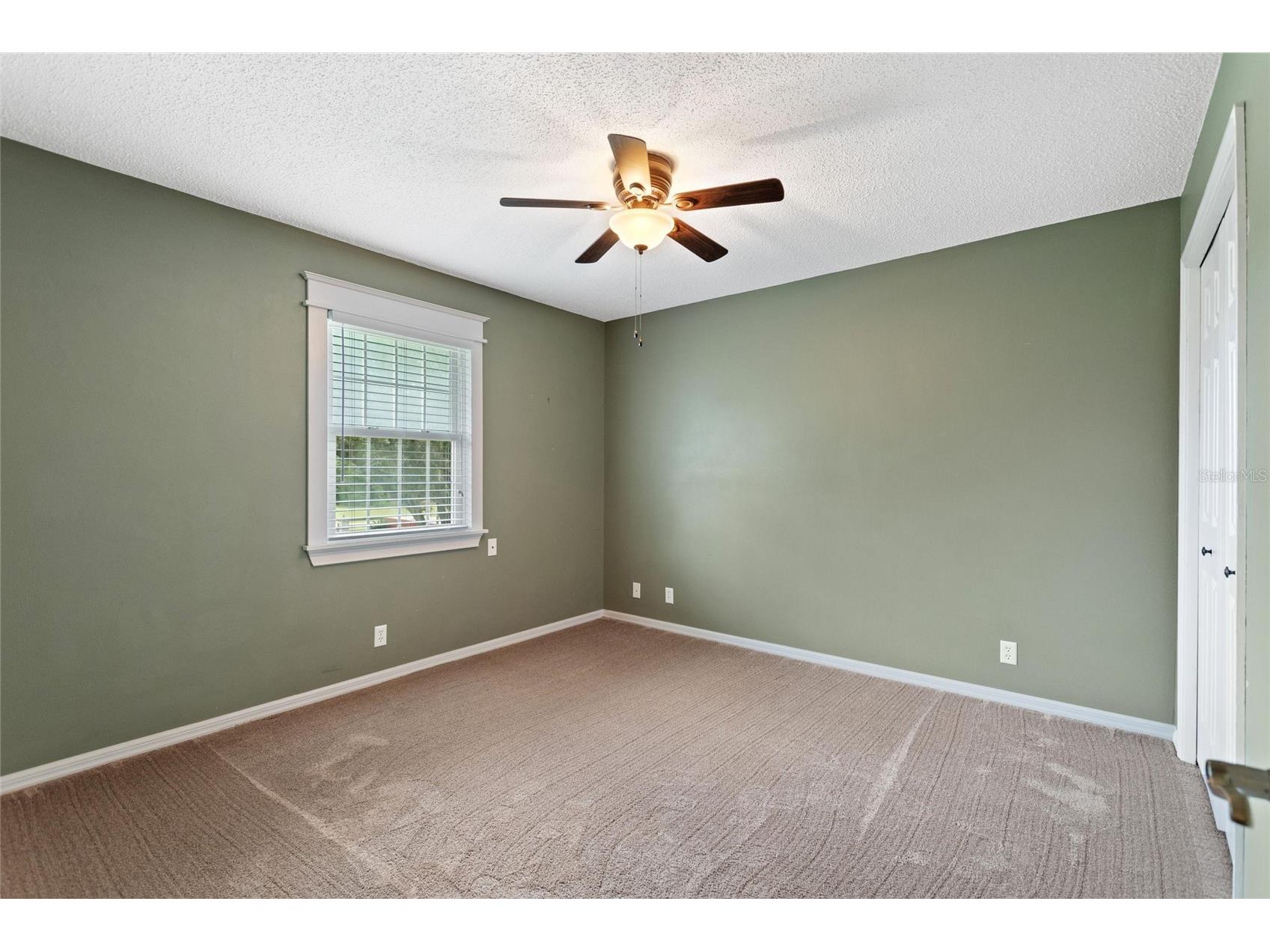 3401 N Forbes Road Plant City FL 33565 P4938831 image26