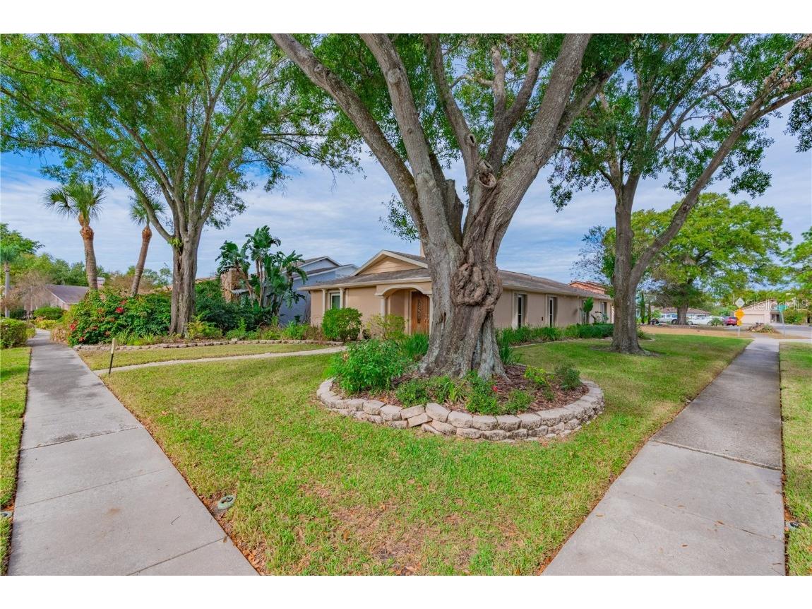 3401 Pico Drive Tampa FL 33614 TB8453604 image3