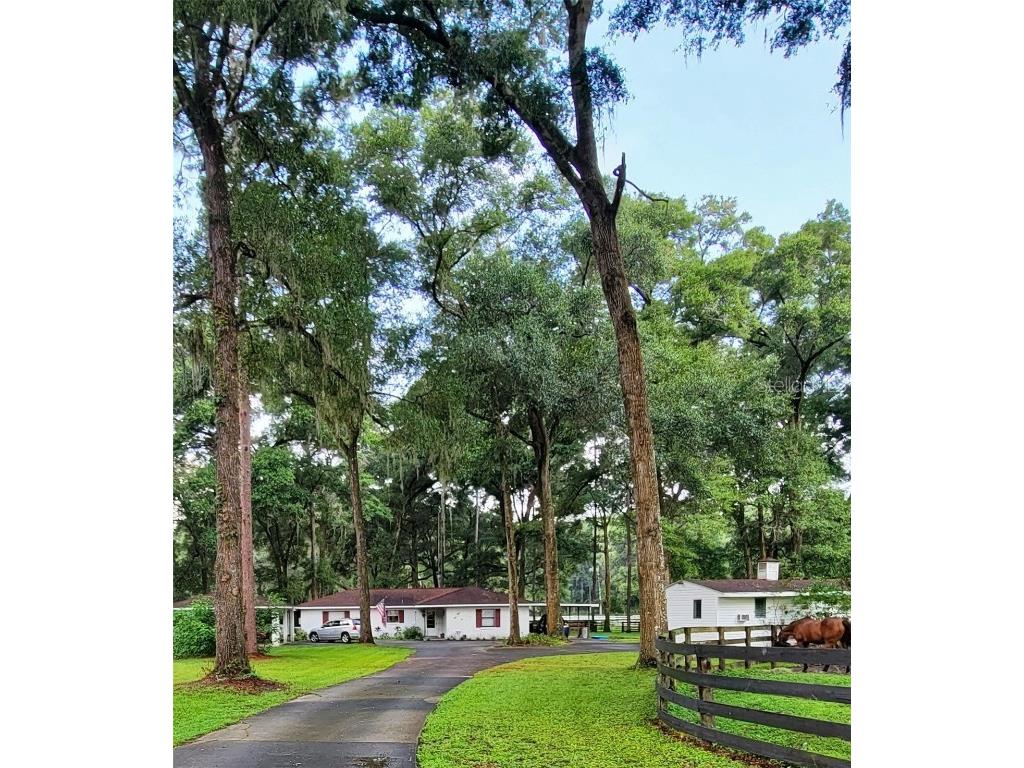 3401 SE 131st Street Belleview FL 34420 OM624813 image1