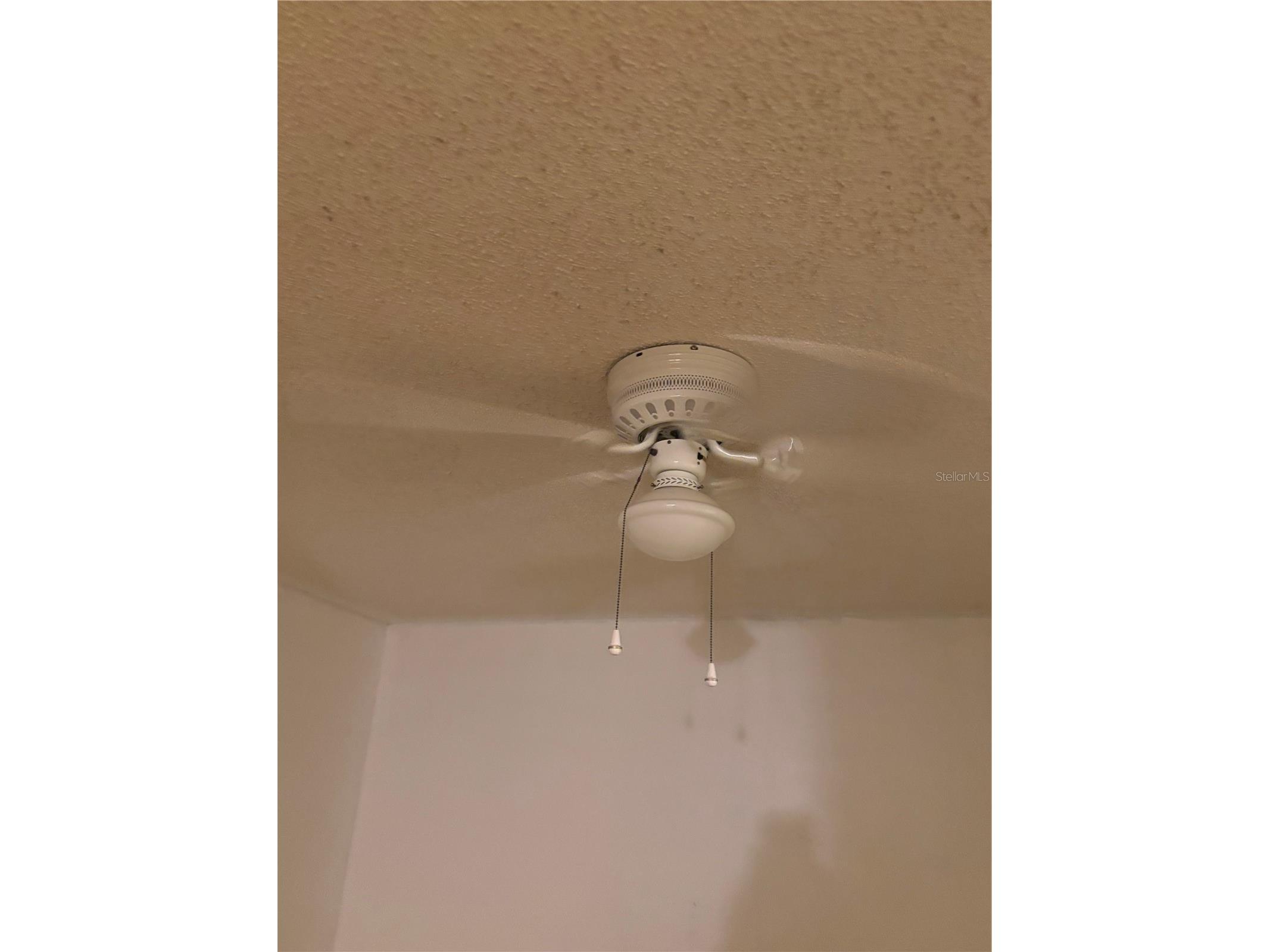 3401 Sunrise Villas Court S Tampa FL 33614 TB8525625 image10