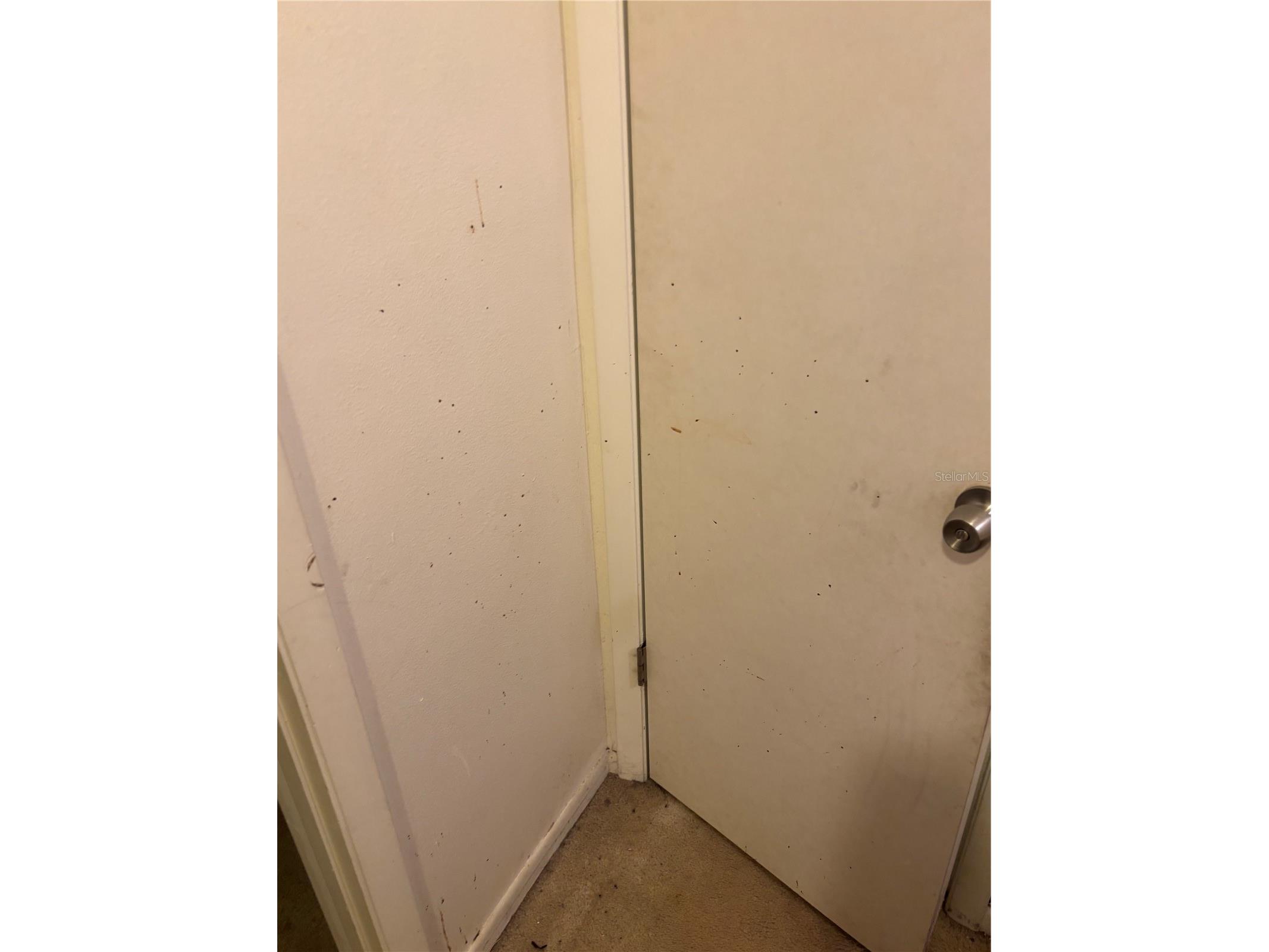 3401 Sunrise Villas Court S Tampa FL 33614 TB8525625 image16