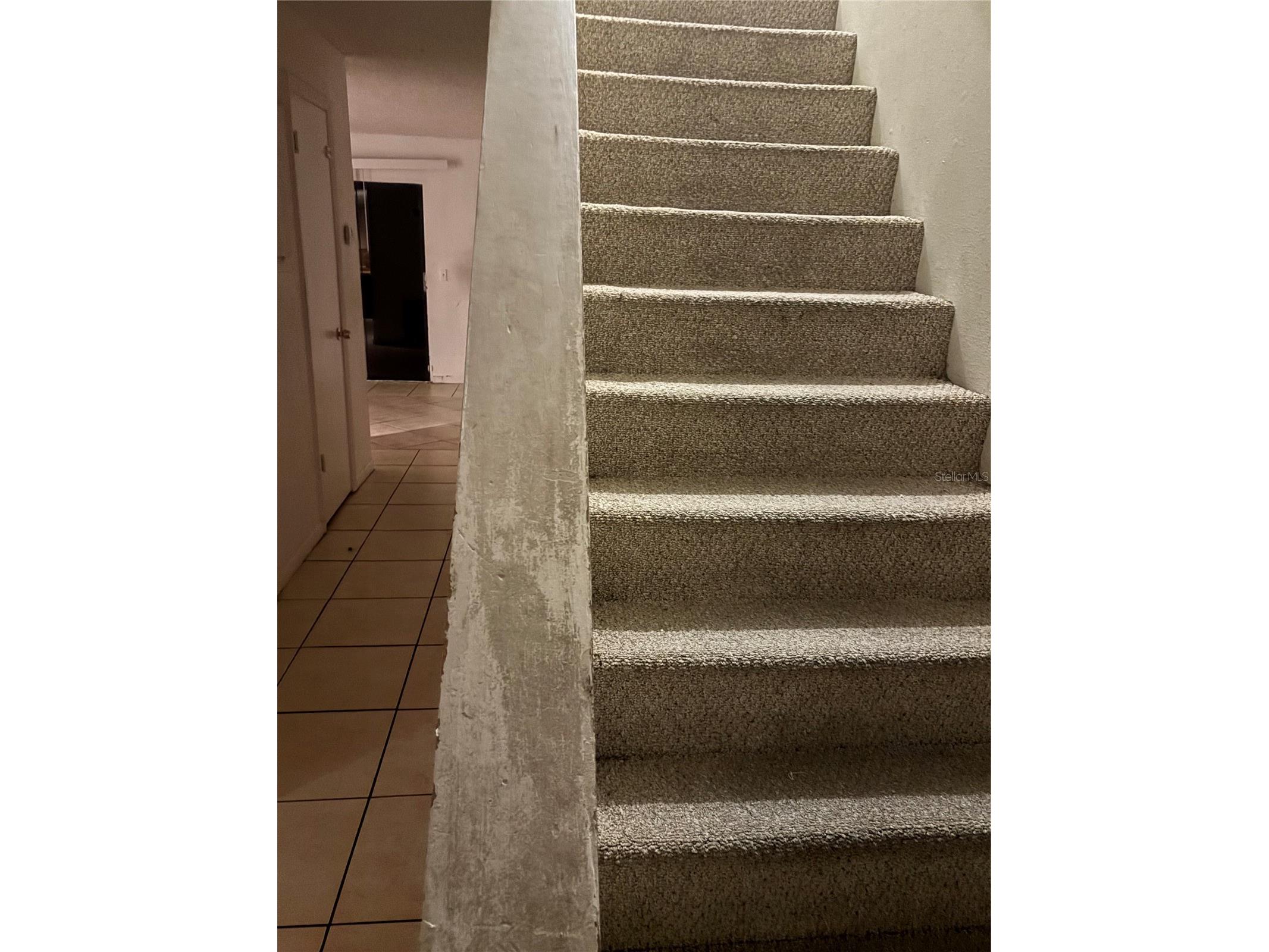 3401 Sunrise Villas Court S Tampa FL 33614 TB8525625 image2