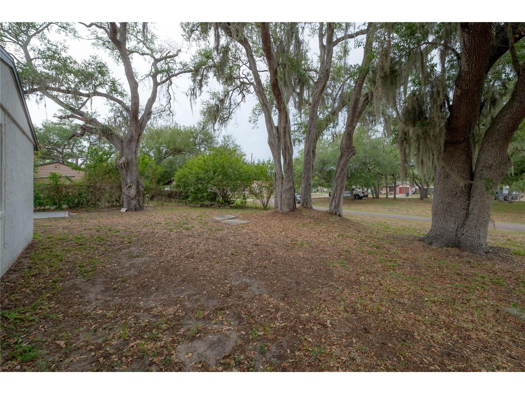 3401 W Van Buren Drive Tampa FL 33611 TB8513032 image19