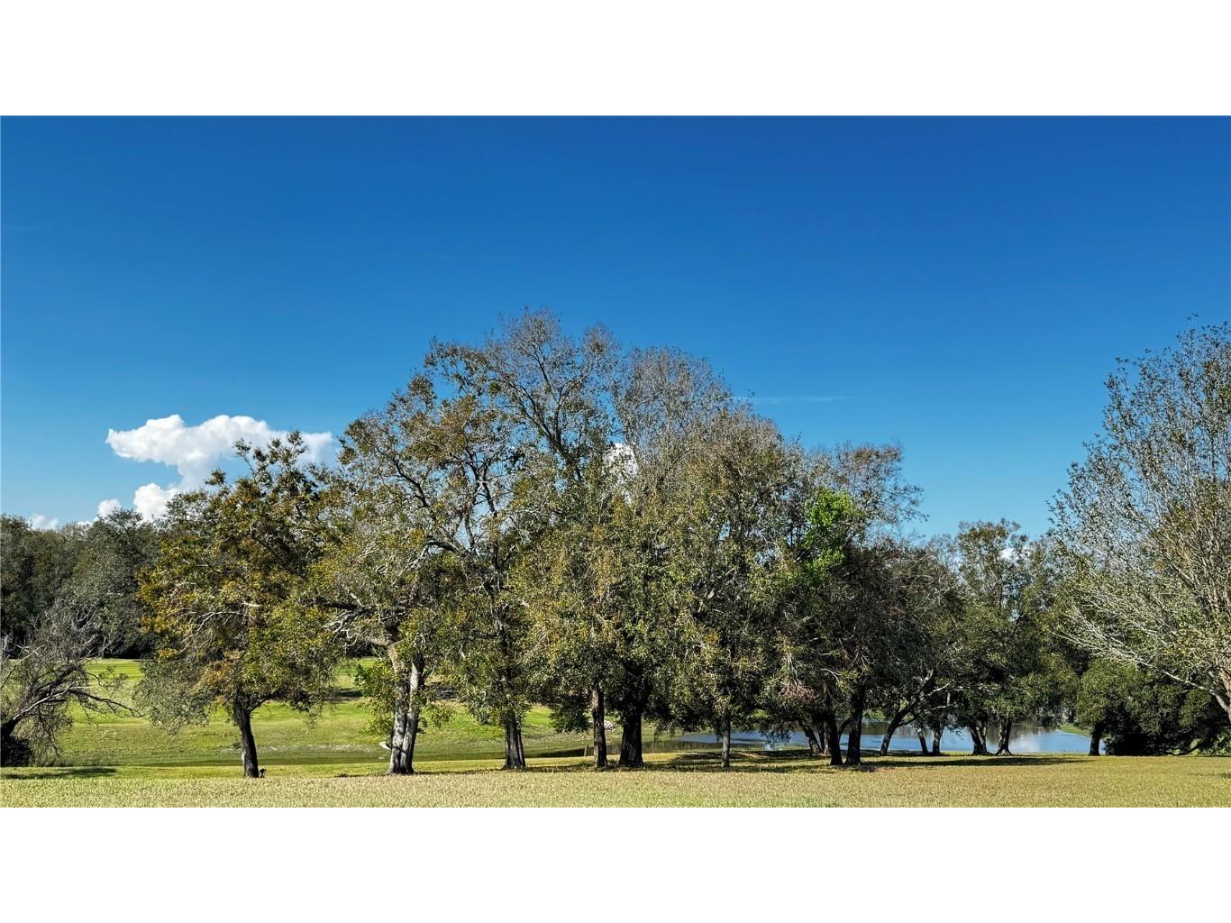 3401 Wax Myrtle Circle #1745 Zellwood FL 32798 - LAKE COHEN AND LAKE GRASSMERE O6285346 image39