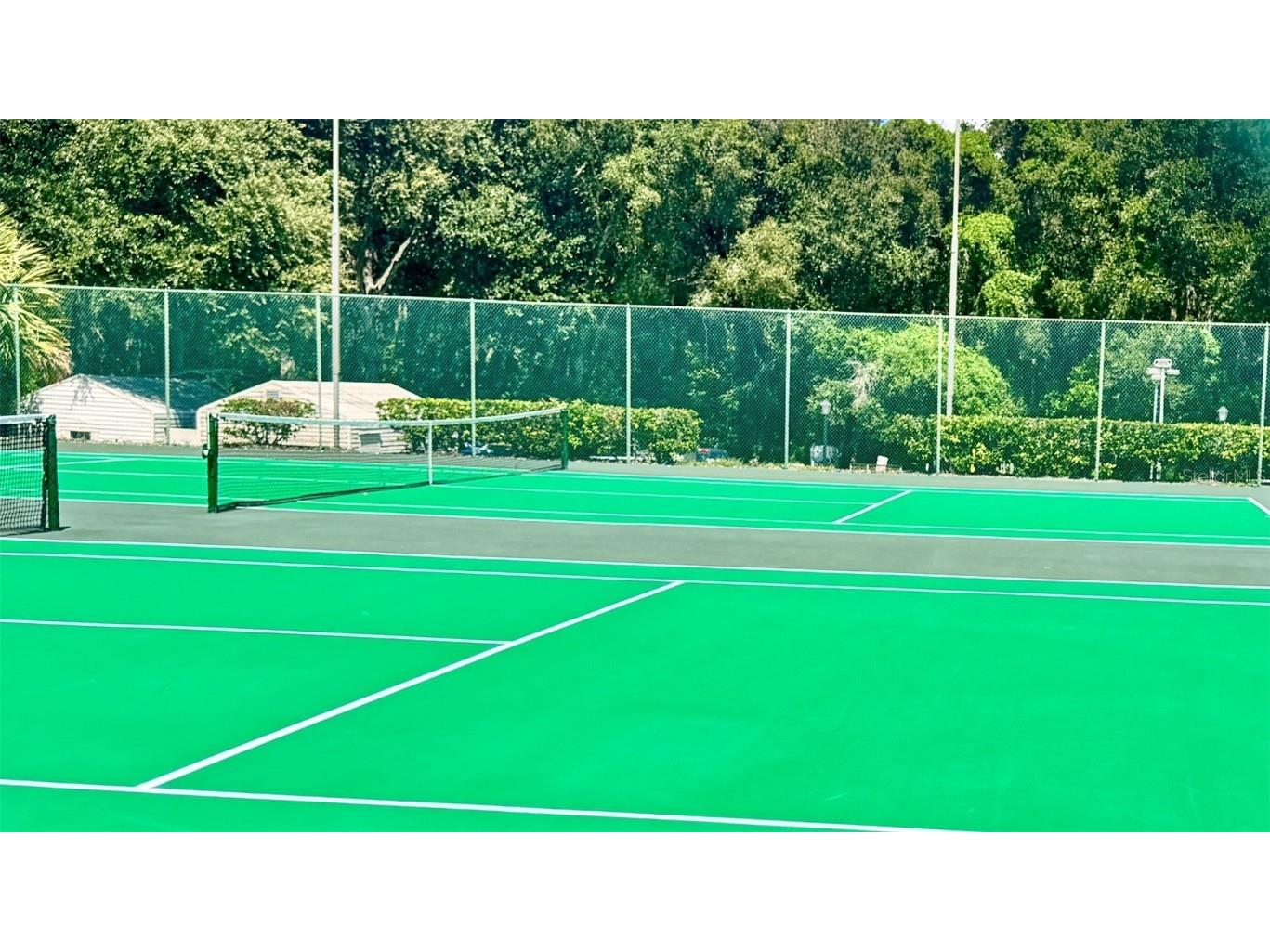 3401 Wax Myrtle Circle #1745 Zellwood FL 32798 - LAKE COHEN AND LAKE GRASSMERE O6285346 image55