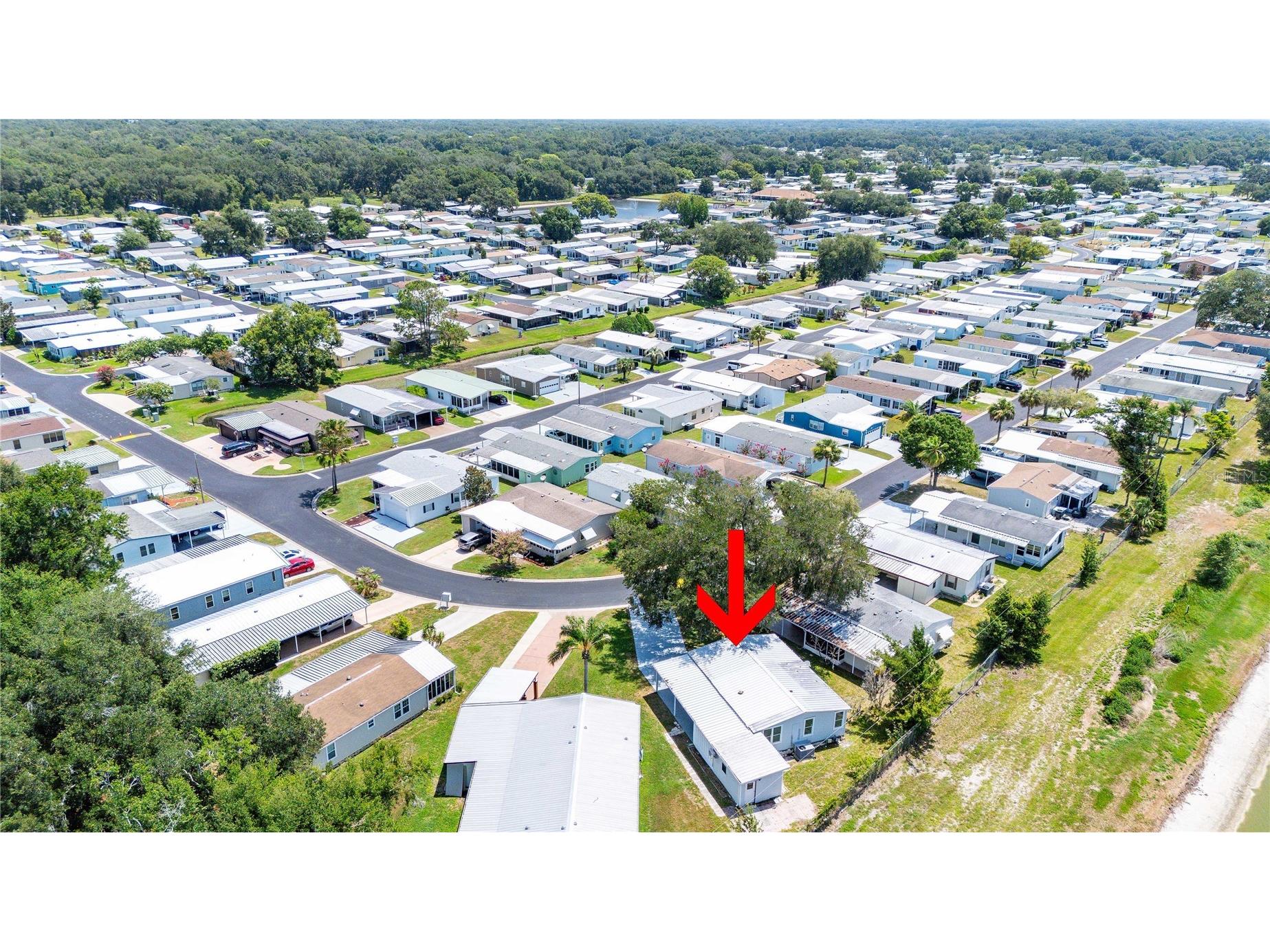 34010 Estates Lane Wesley Chapel FL 33543 TB8512900 image32