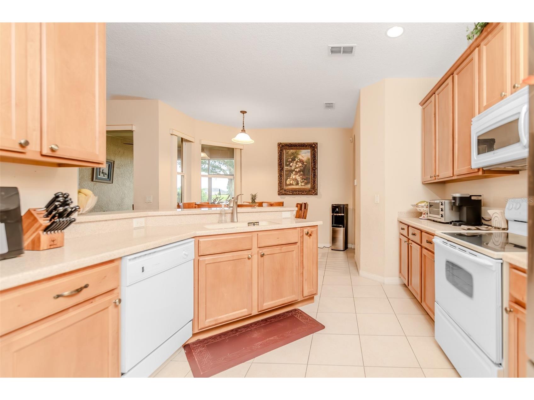 34013 Fortunado Street Sorrento FL 32776 TB8517810 image15