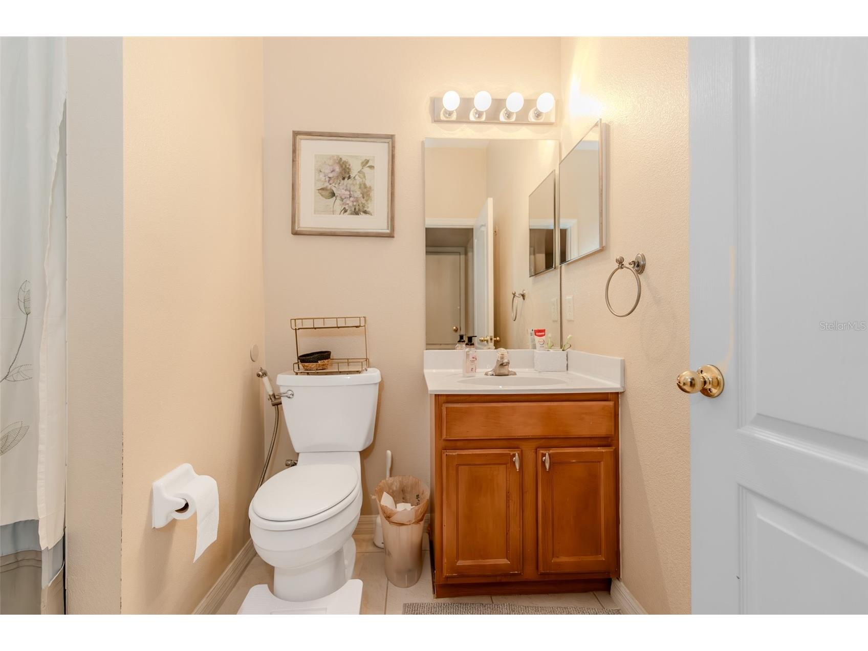34013 Fortunado Street Sorrento FL 32776 TB8517810 image21