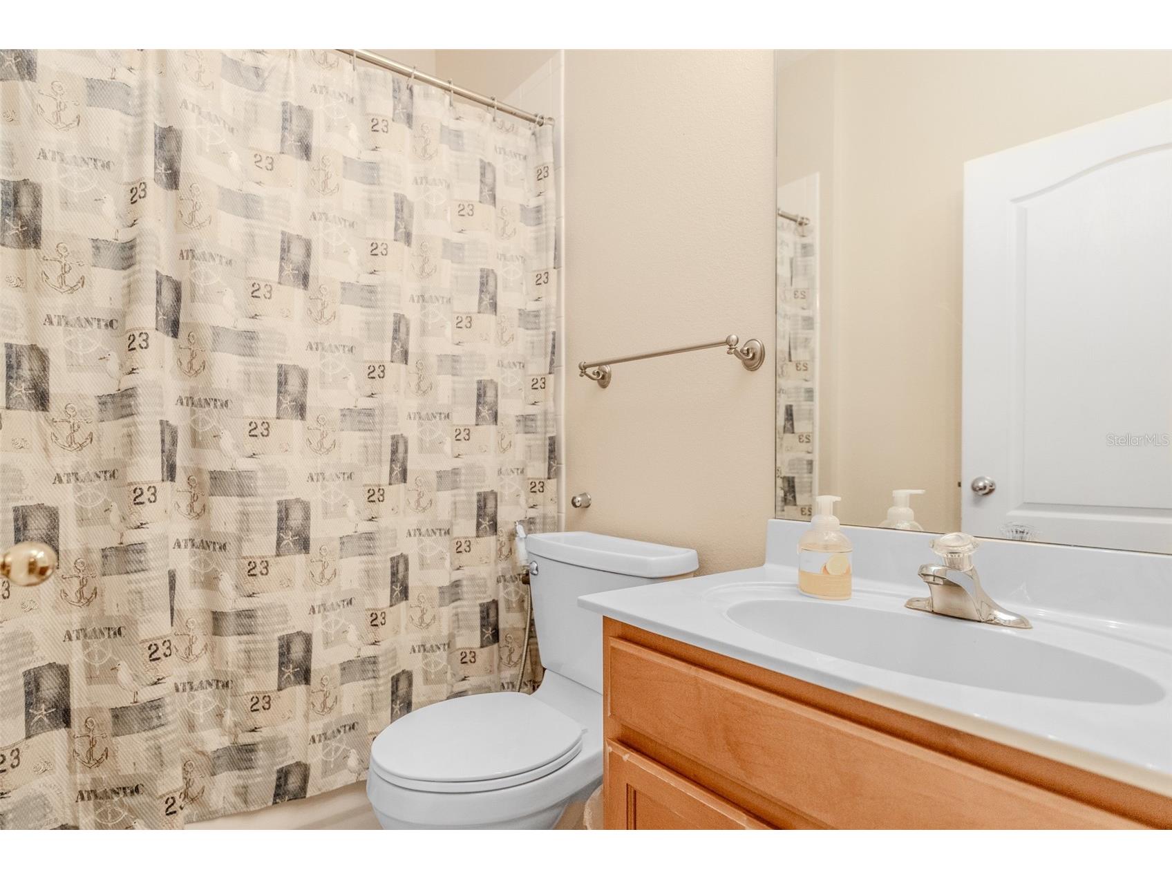 34013 Fortunado Street Sorrento FL 32776 TB8517810 image24