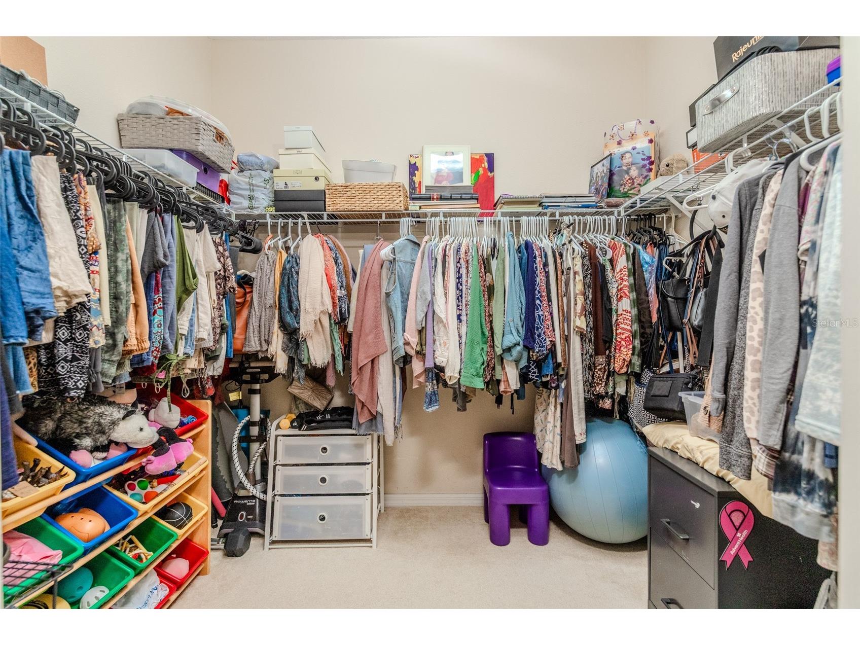 34013 Fortunado Street Sorrento FL 32776 TB8517810 image30