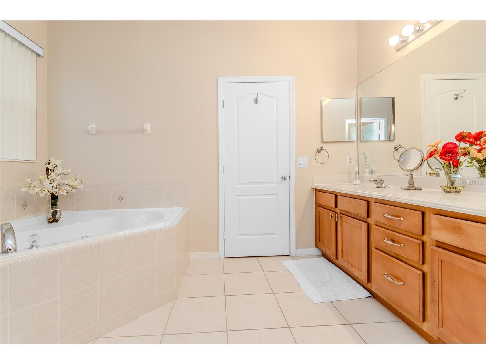 34013 Fortunado Street Sorrento FL 32776 TB8517810 image32