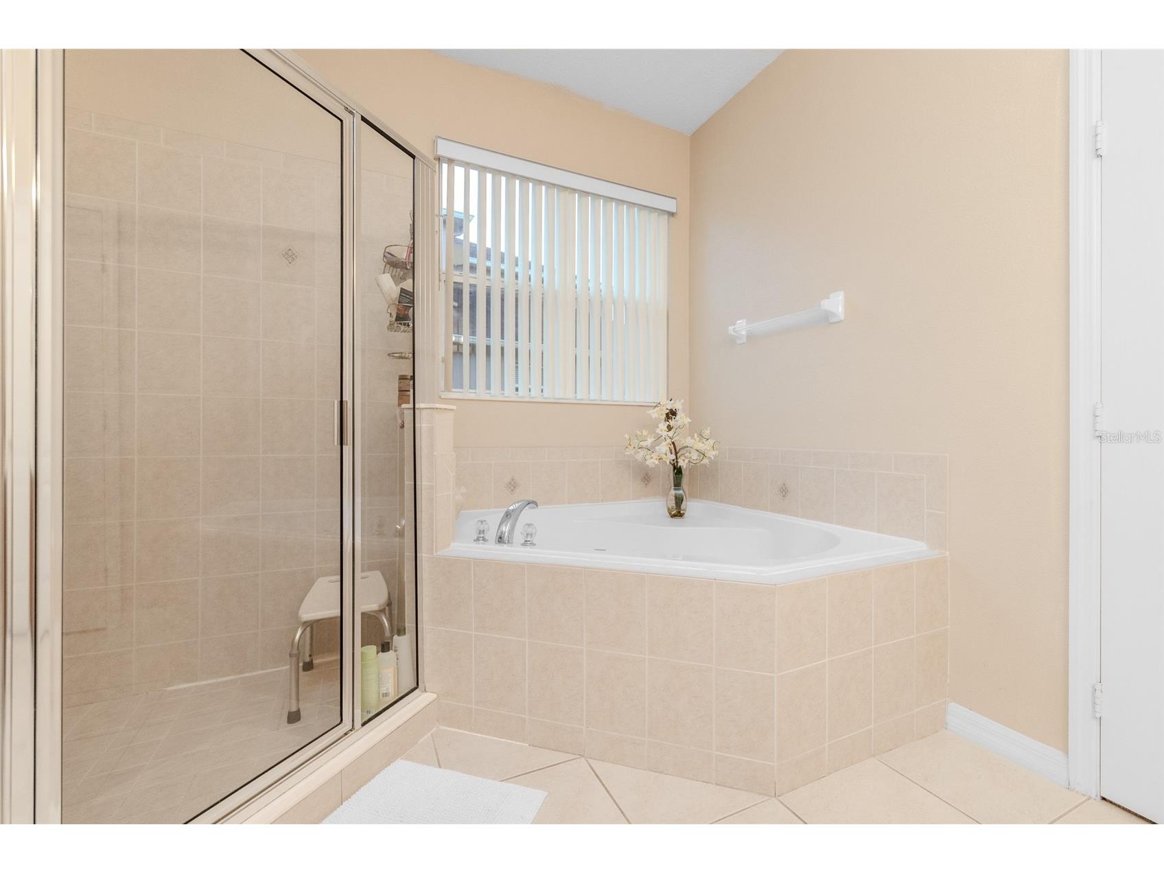 34013 Fortunado Street Sorrento FL 32776 TB8517810 image33