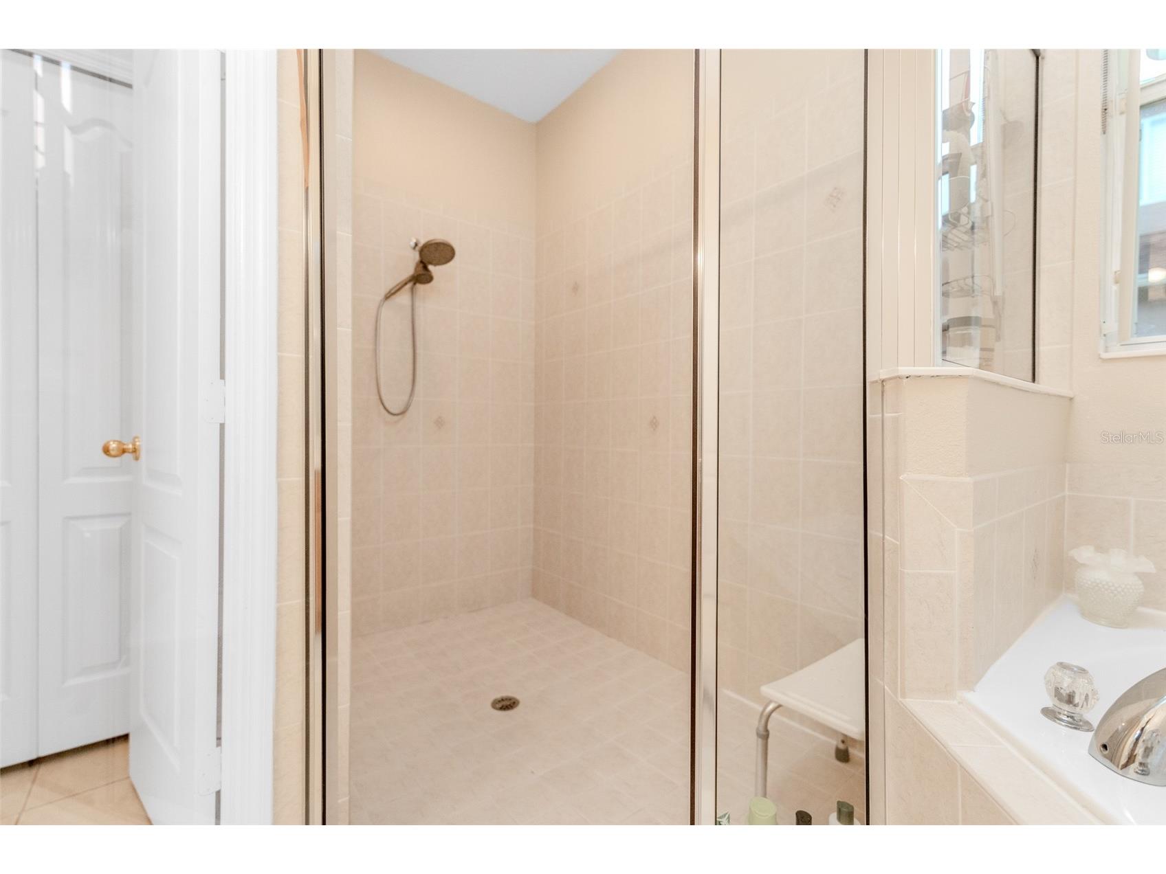 34013 Fortunado Street Sorrento FL 32776 TB8517810 image34