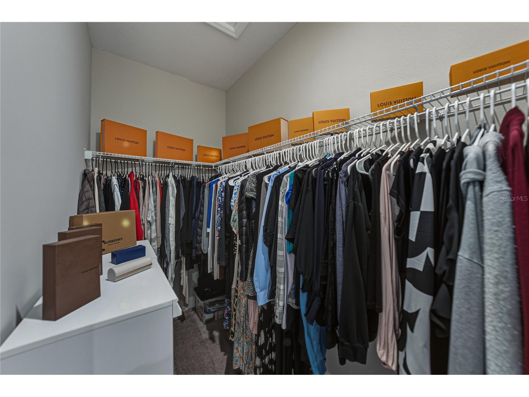 34014 Astoria Circle Wesley Chapel FL 33545 TB8449141 image25
