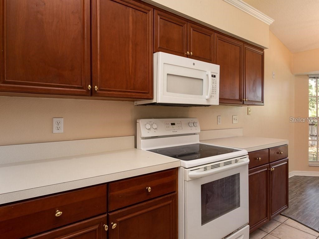 34016 Valencia Drive Leesburg FL 34788 TB8404181 image8