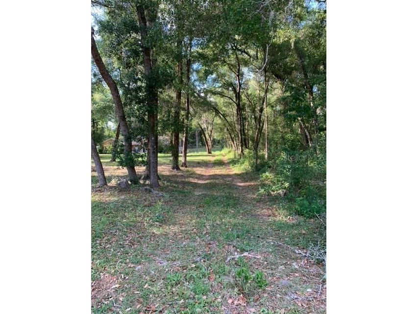 34017 Ridge Manor Boulevard Dade City FL 33523 OM657666 image1