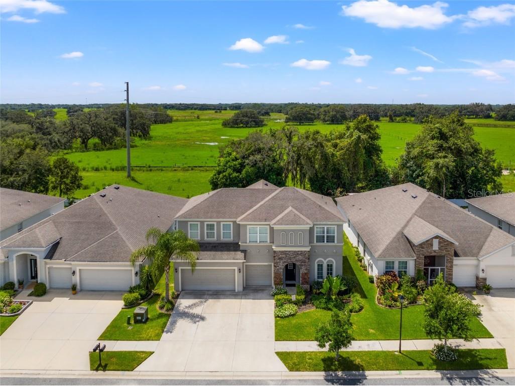 34018 Laughing Oak Drive Wesley Chapel FL 33545 T3549954 image1