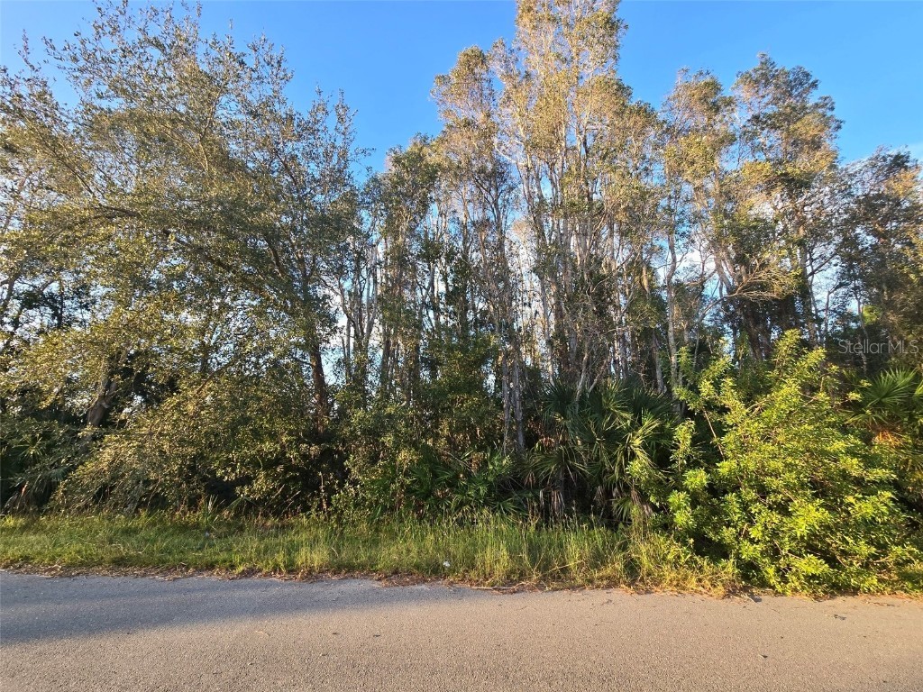 3402 39th St Sw Lehigh Acres FL 33976 GC525885 image1