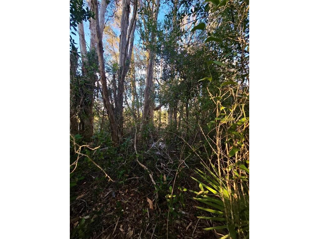 3402 39th St Sw Lehigh Acres FL 33976 GC525885 image3