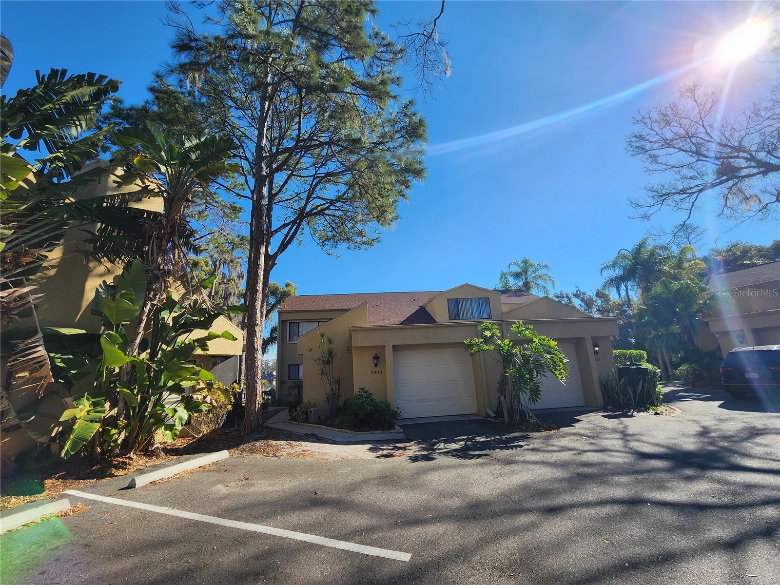 3402 Ellenwood Lane Tampa FL 33618 O6403778 image4