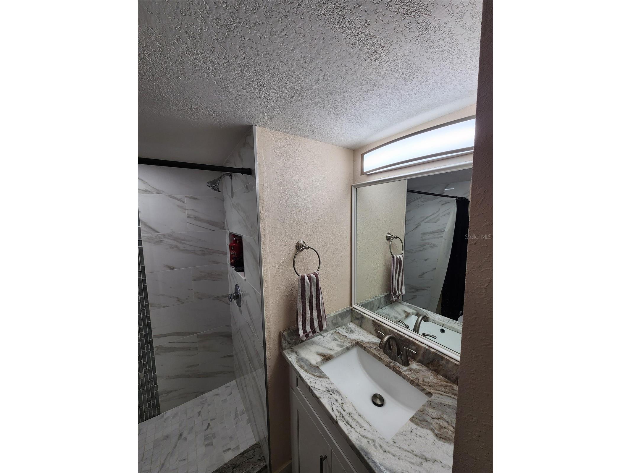 3402 Ellenwood Lane Tampa FL 33618 O6403778 image7