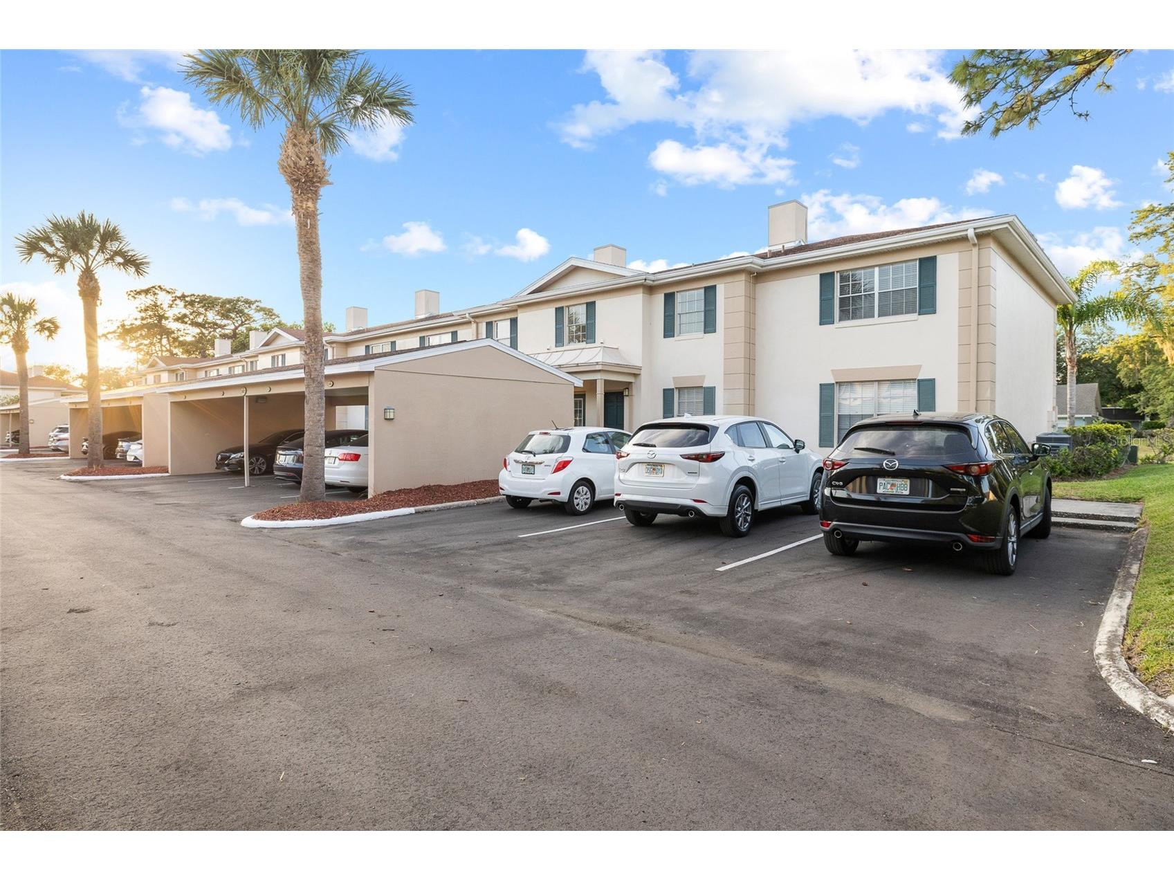 3402 Latania Drive #321 Tampa FL 33618 TB8496744 image3