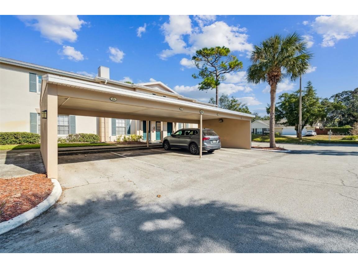 3402 Latania Drive #322 Tampa FL 33618 TB8450462 image3