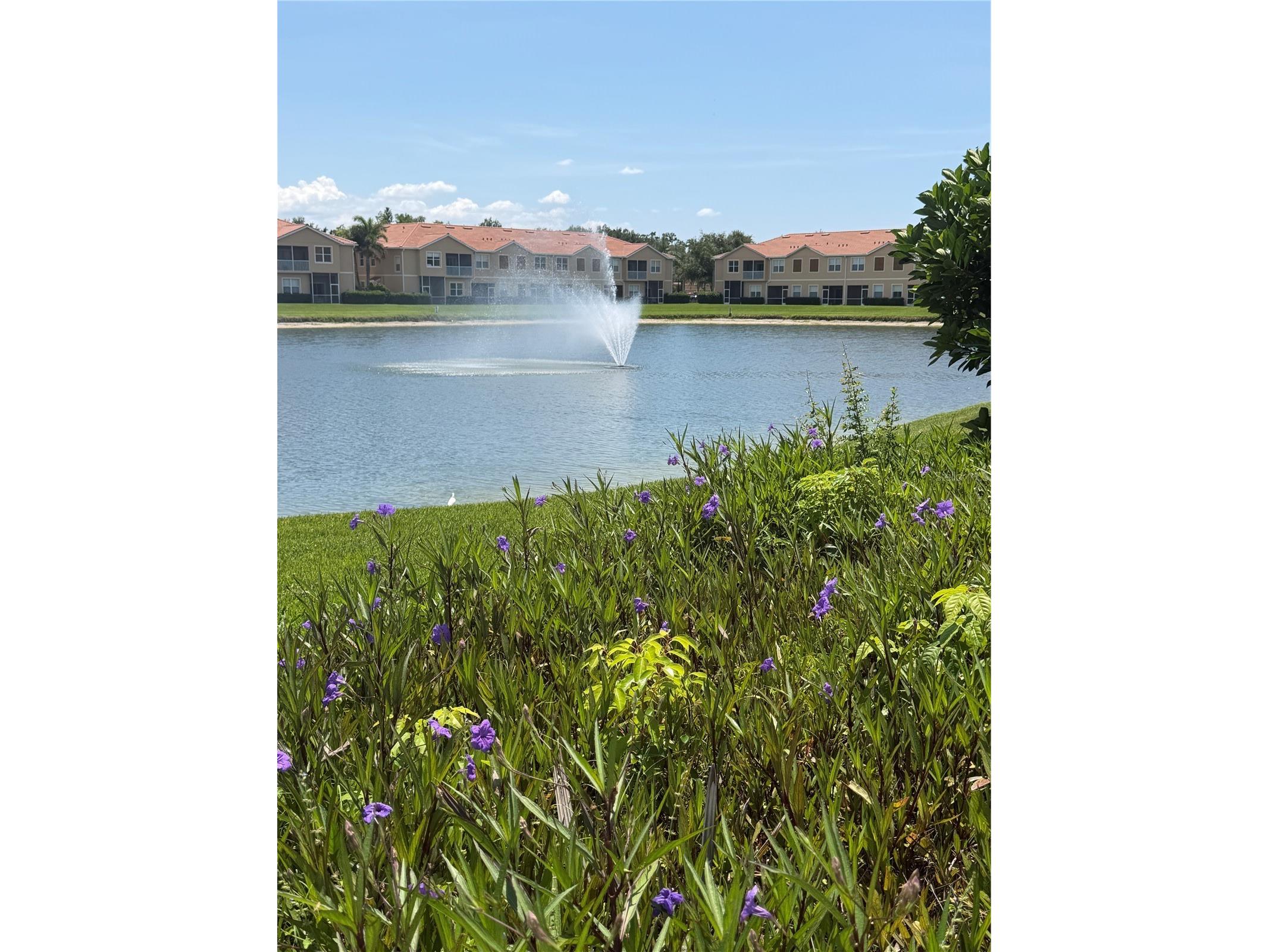 3402 Parkridge Circle Sarasota FL 34243 TB8476514 image26