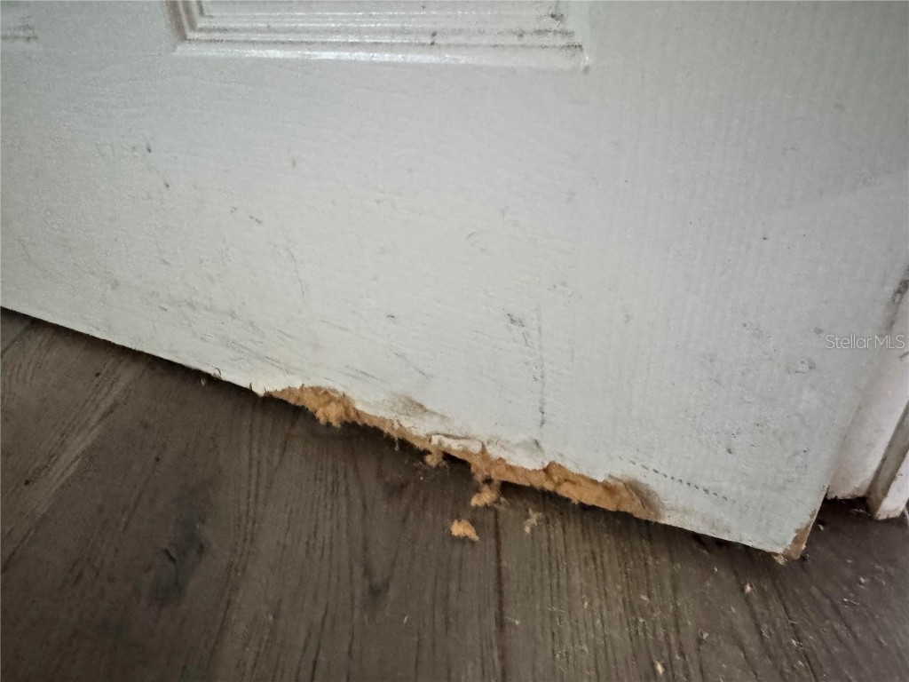 3402 Pearson Road Valrico FL 33596 TB8448690 image14