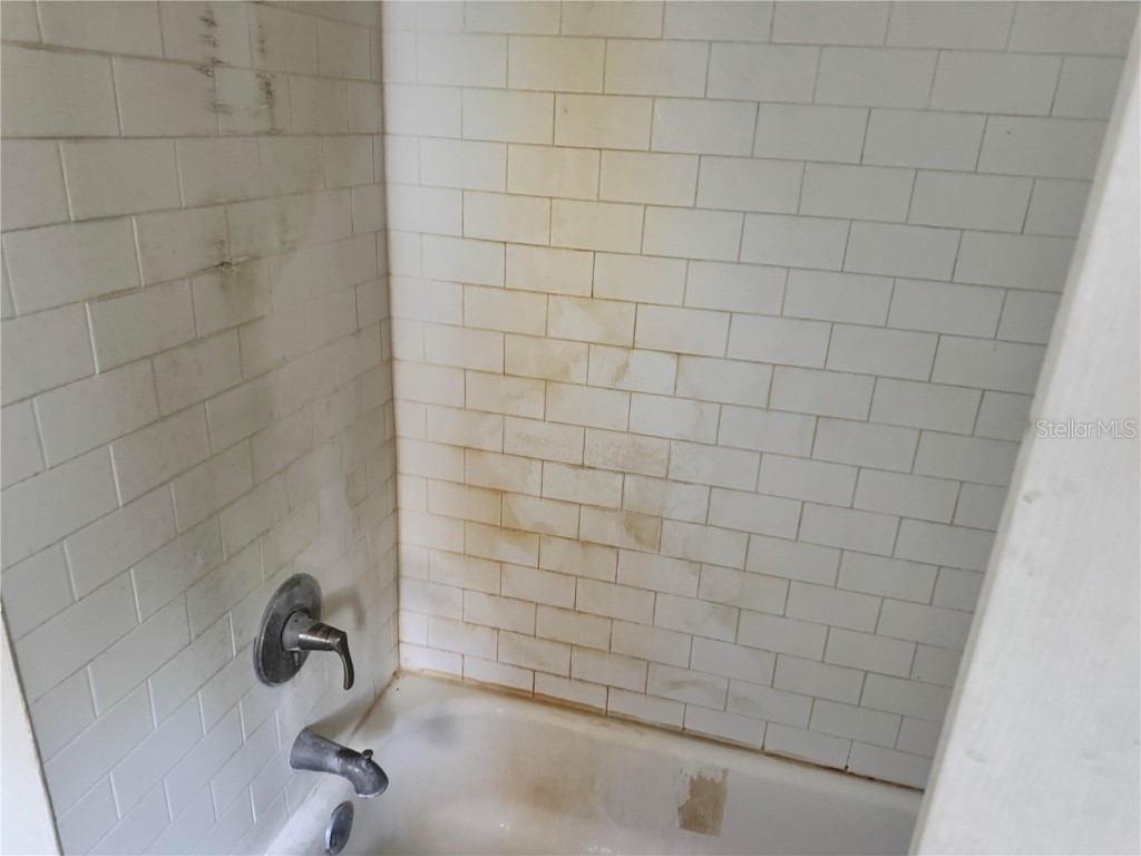 3402 Pearson Road Valrico FL 33596 TB8448690 image19