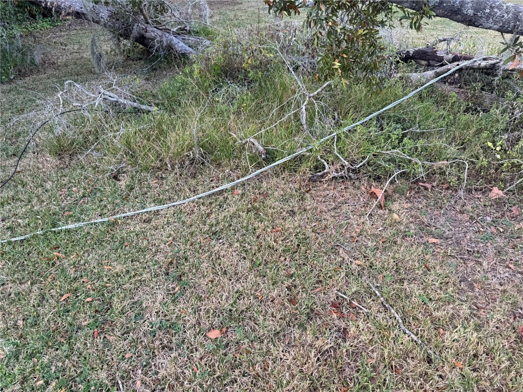 3402 Pearson Road Valrico FL 33596 TB8448690 image21